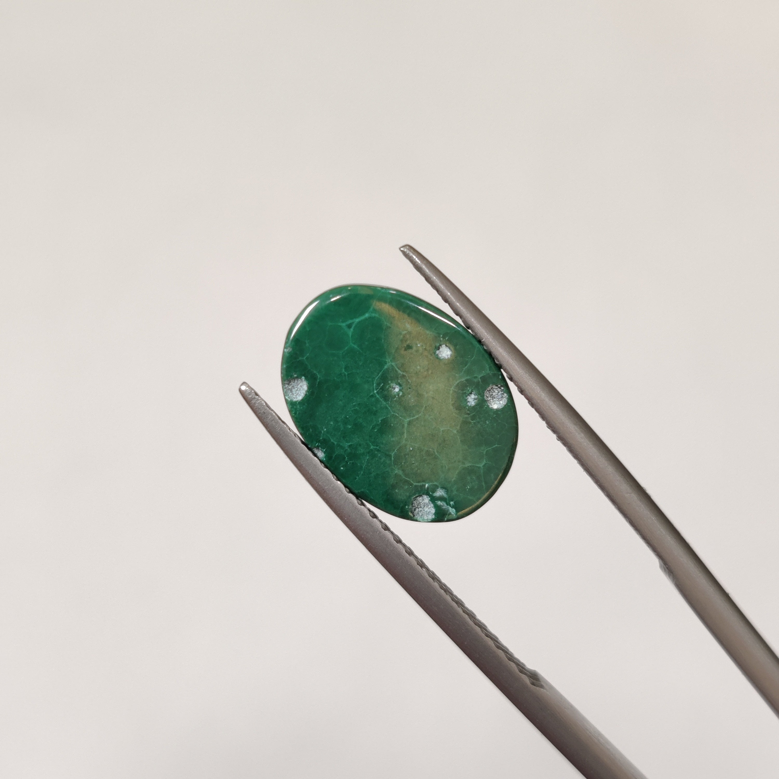 Malachite | Malachite 43 | 6.89 Carat