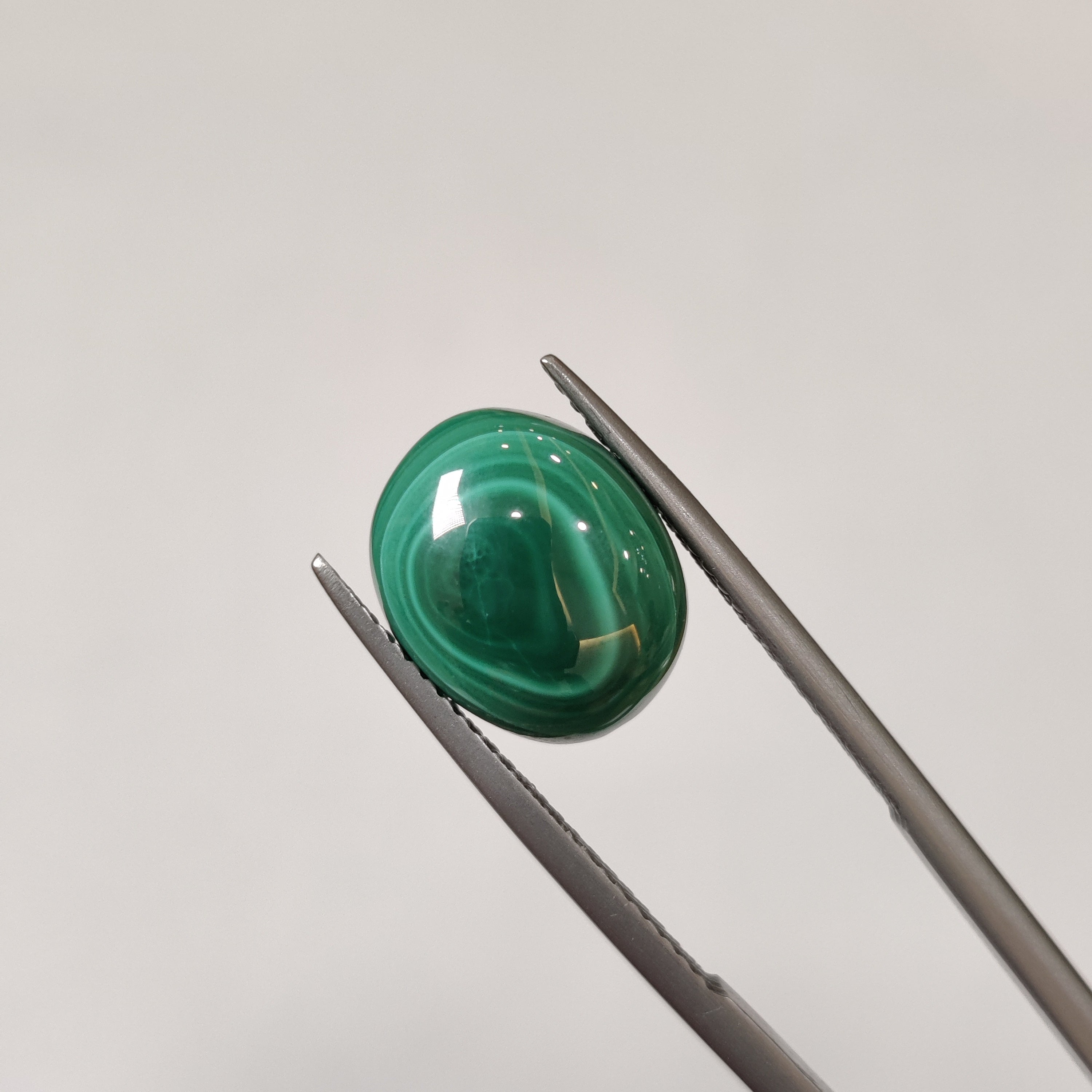 Malachite | Malachite 46 | 6.94 Carat