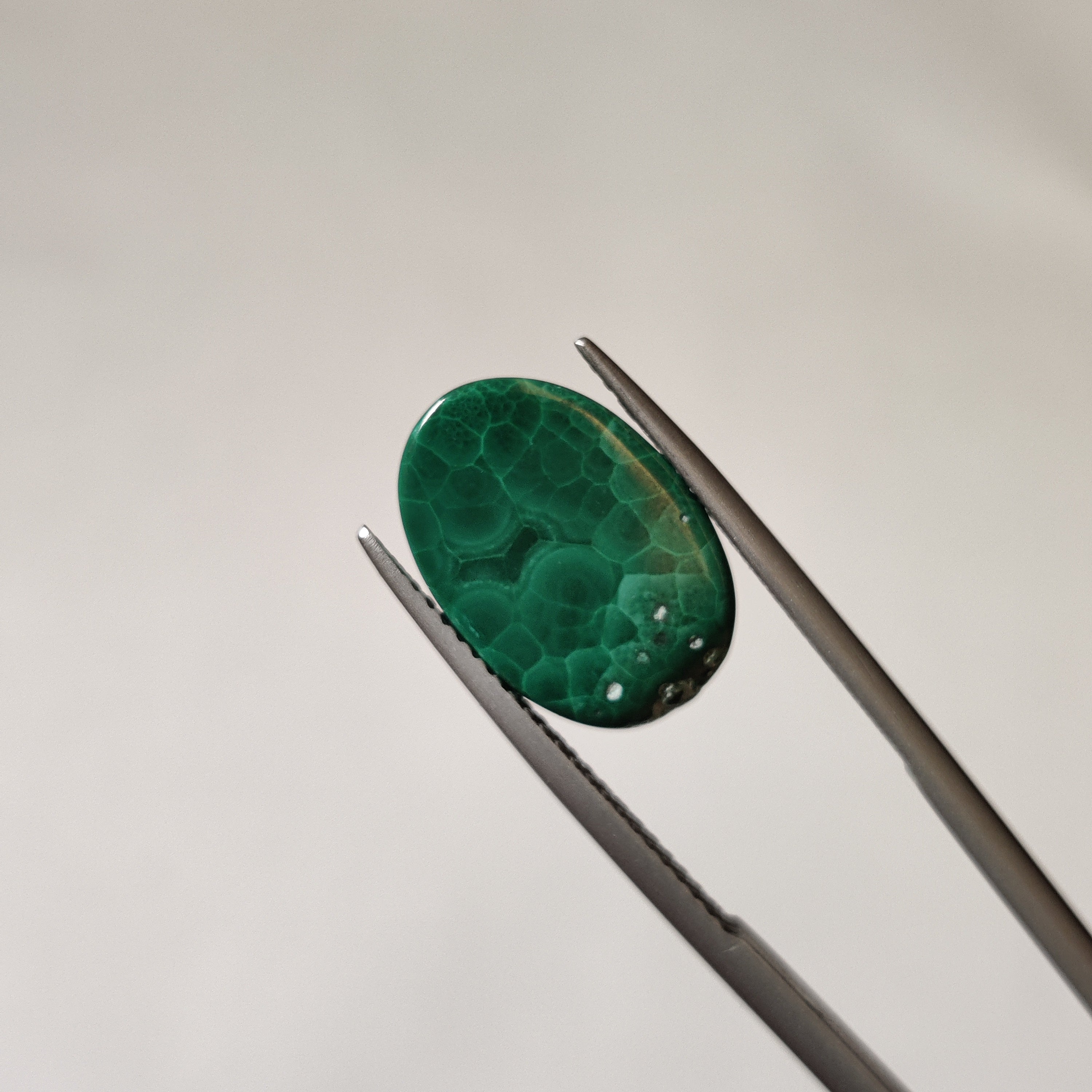 Malachite | Malachite 77 | 9.2 Carat