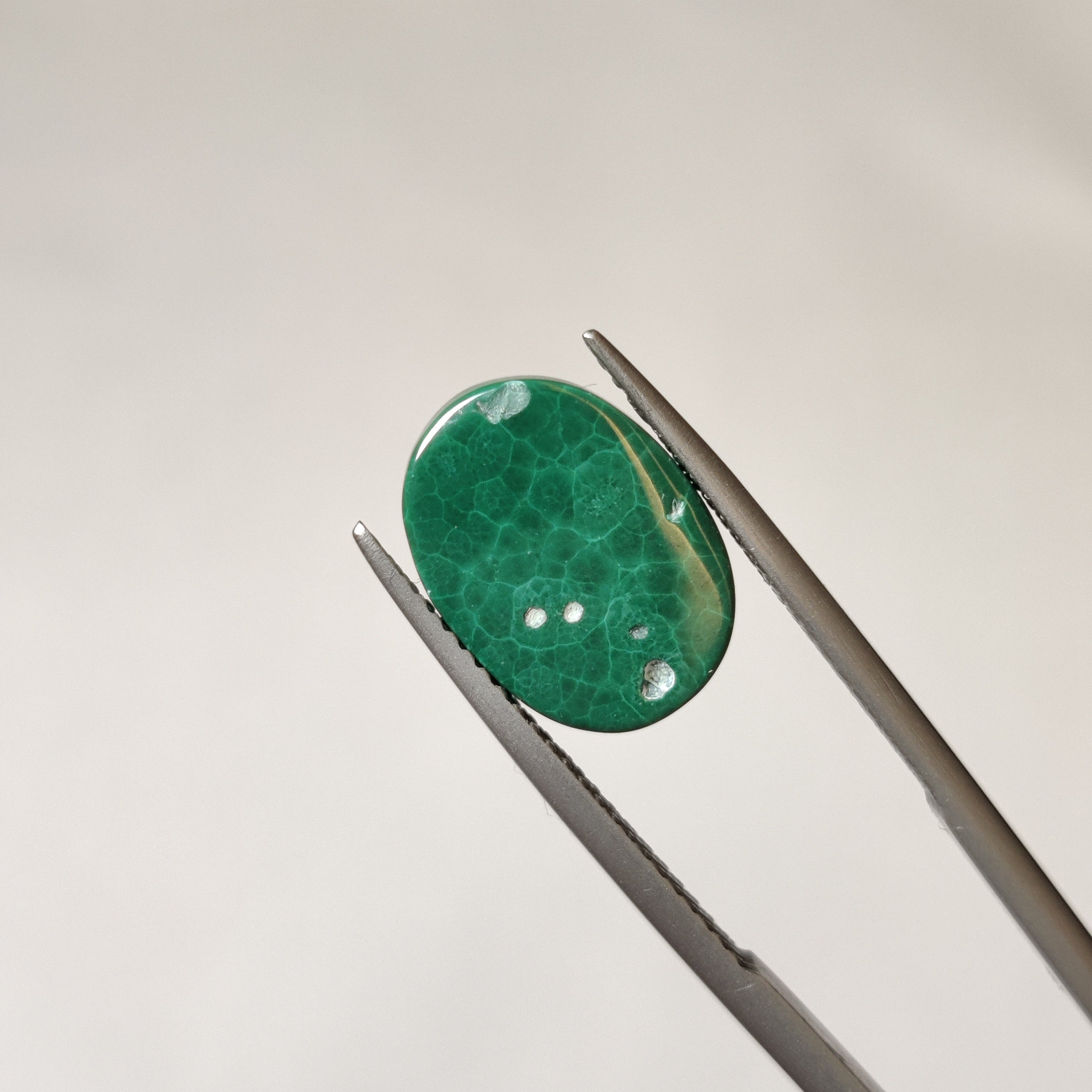 Malachite | Malachite 38 | 9.18 Carat