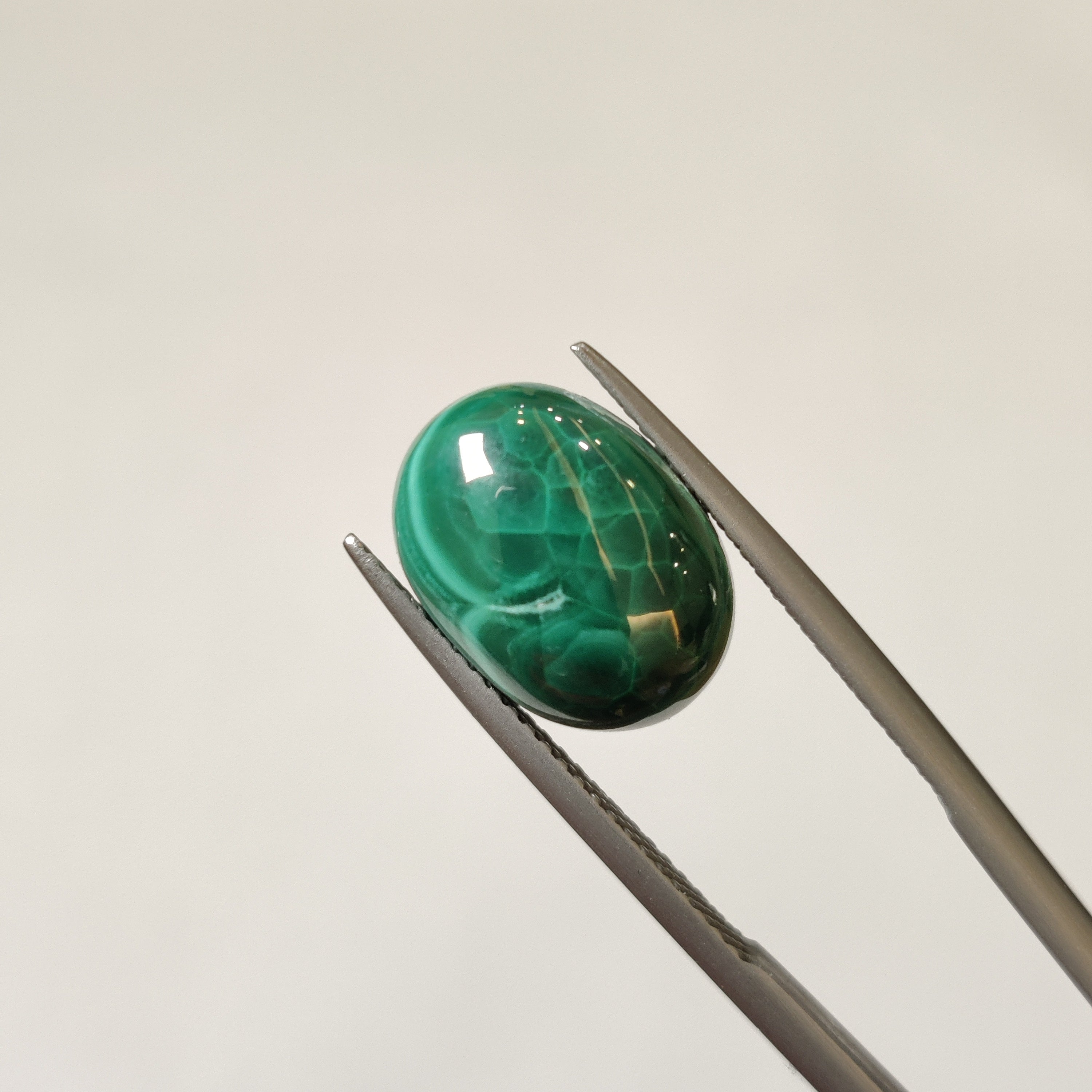 Malachite | Malachite 44 | 9.55 Carat