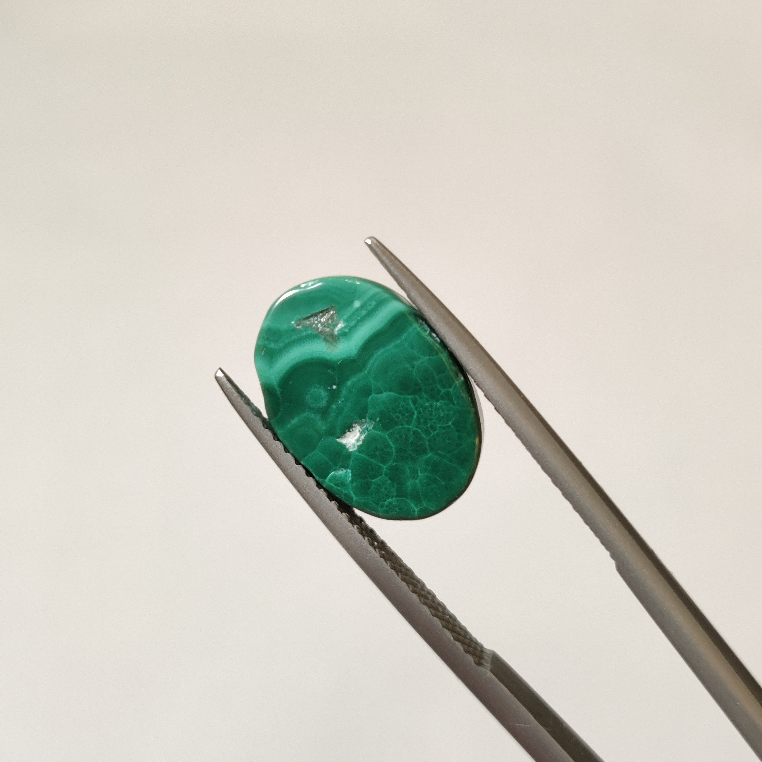 Malachite | Malachite 70 | 8.48 Carat