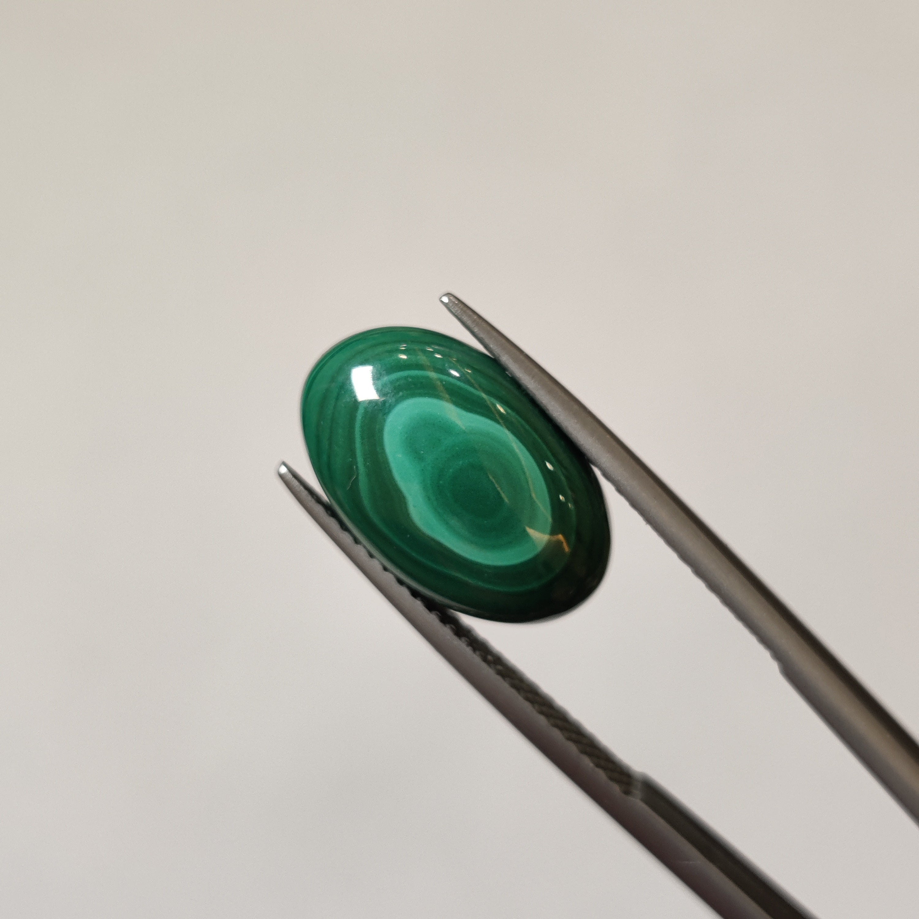 Malachite | Malachite 28 | 8.46 Carat