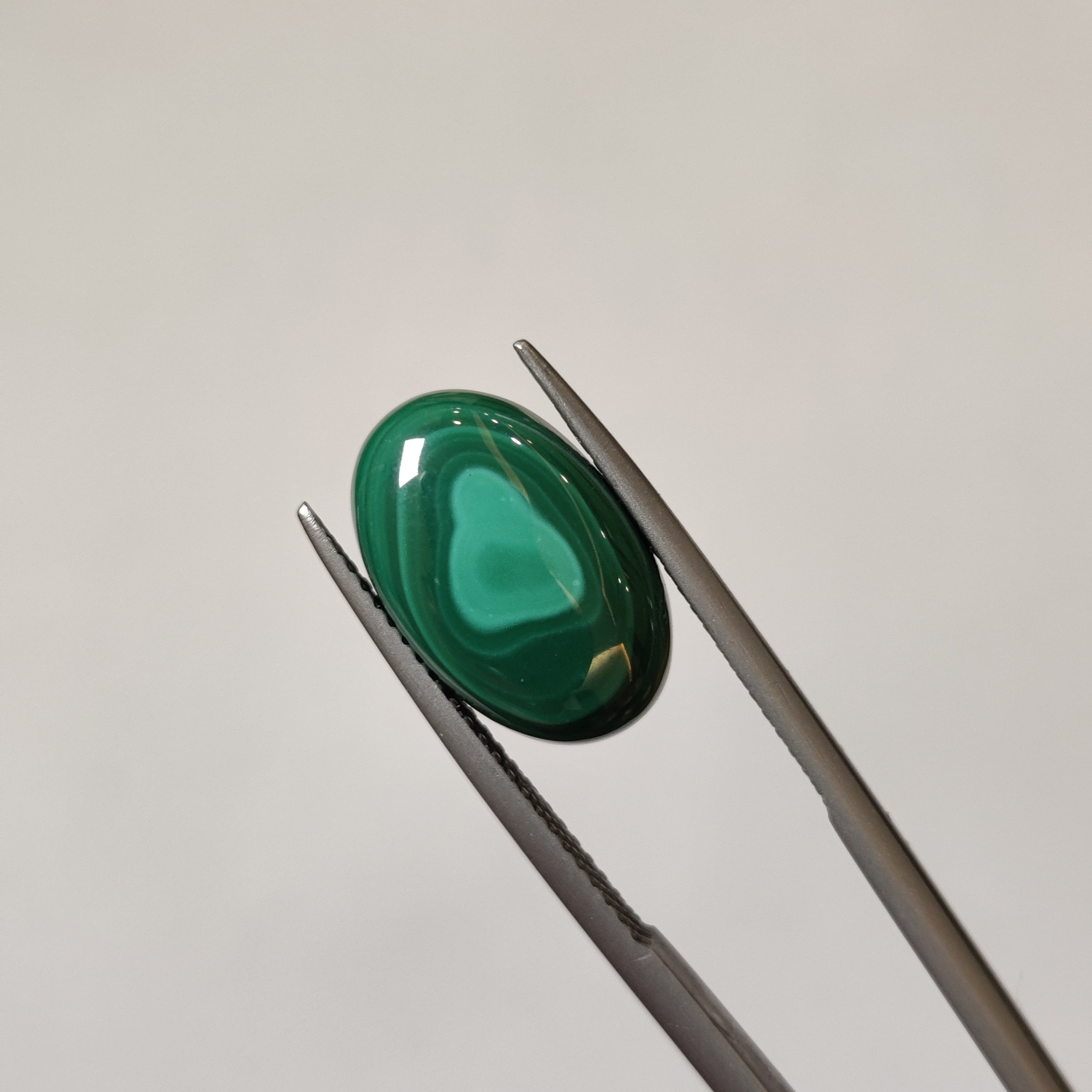 Malachite | Malachite 64 | 8.25 Carat