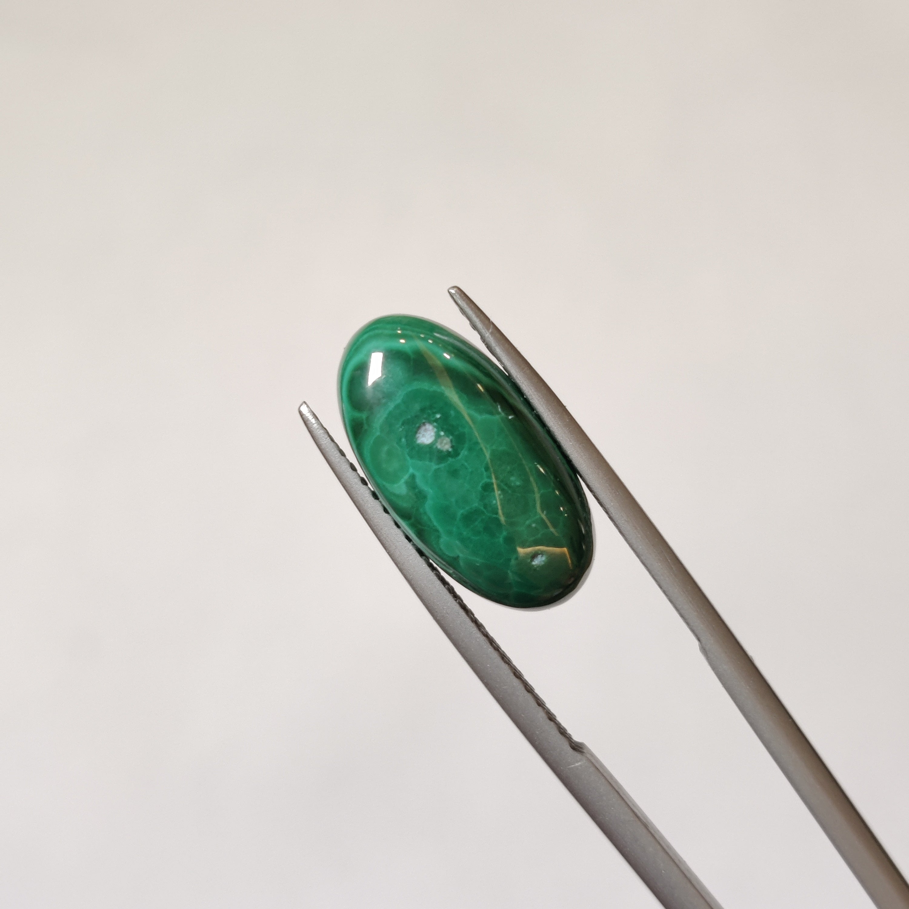Malachite | Malachite 14 | 7.97 Carat