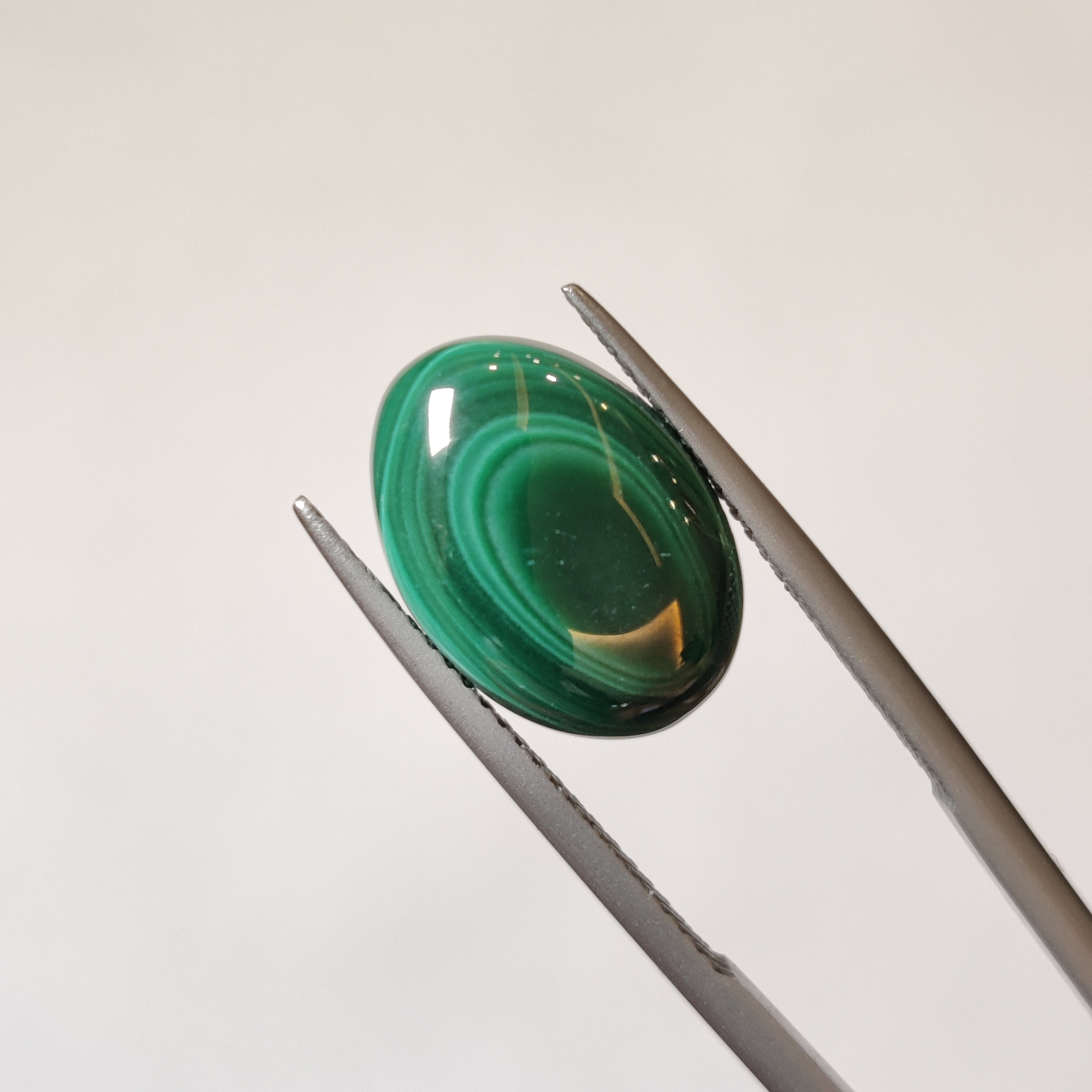 Malachite | Malachite 65 | 7.96 Carat