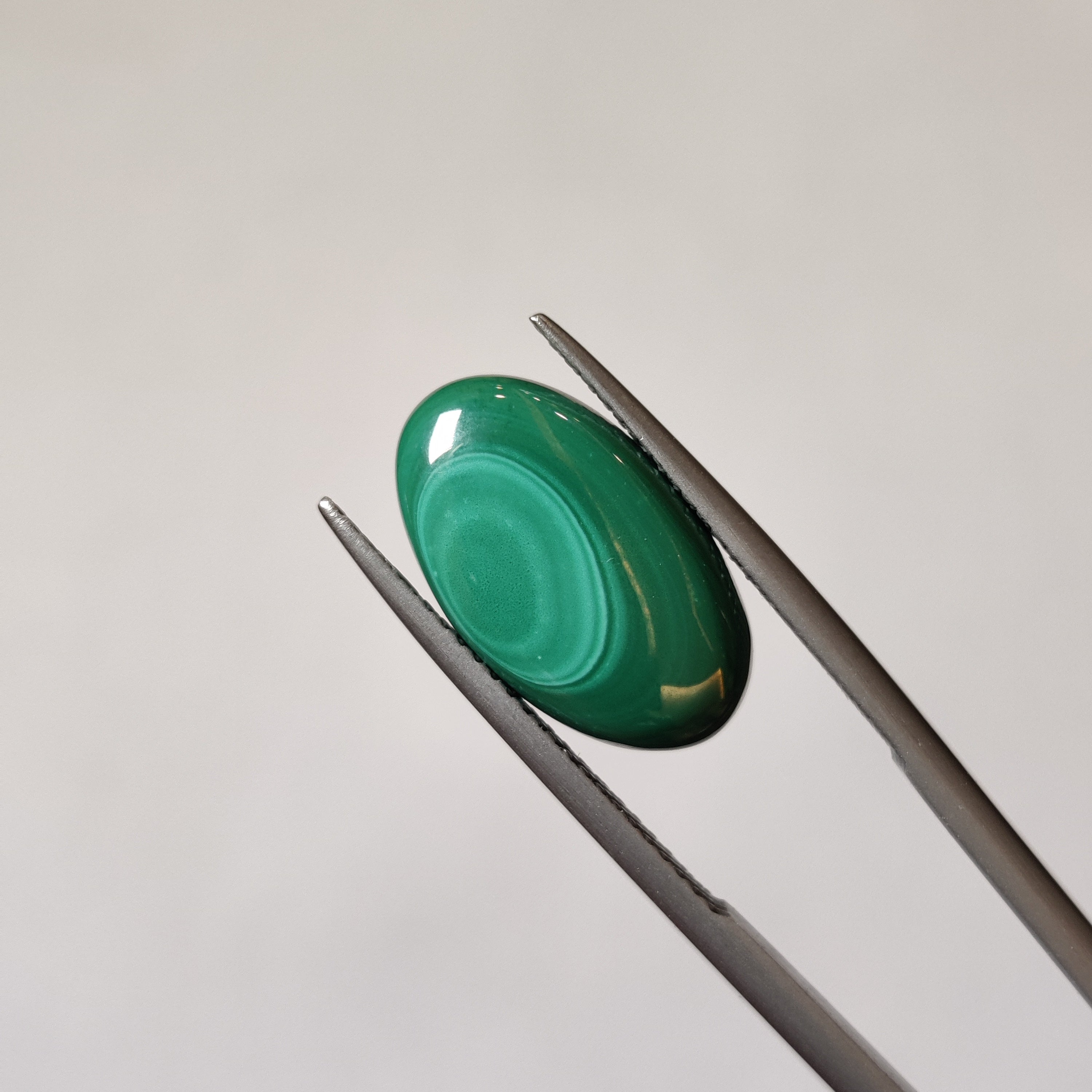 Malachite | Malachite 36 | 7.91 Carat