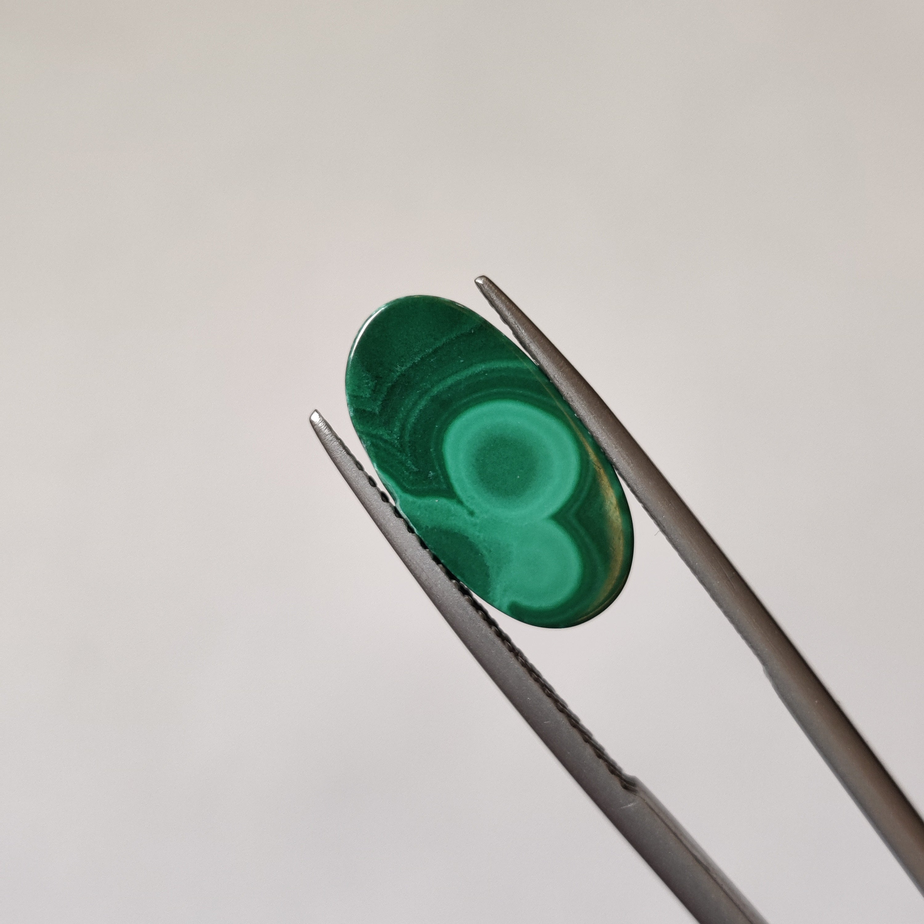 Malachite | Malachite 8 | 7.06 Carat