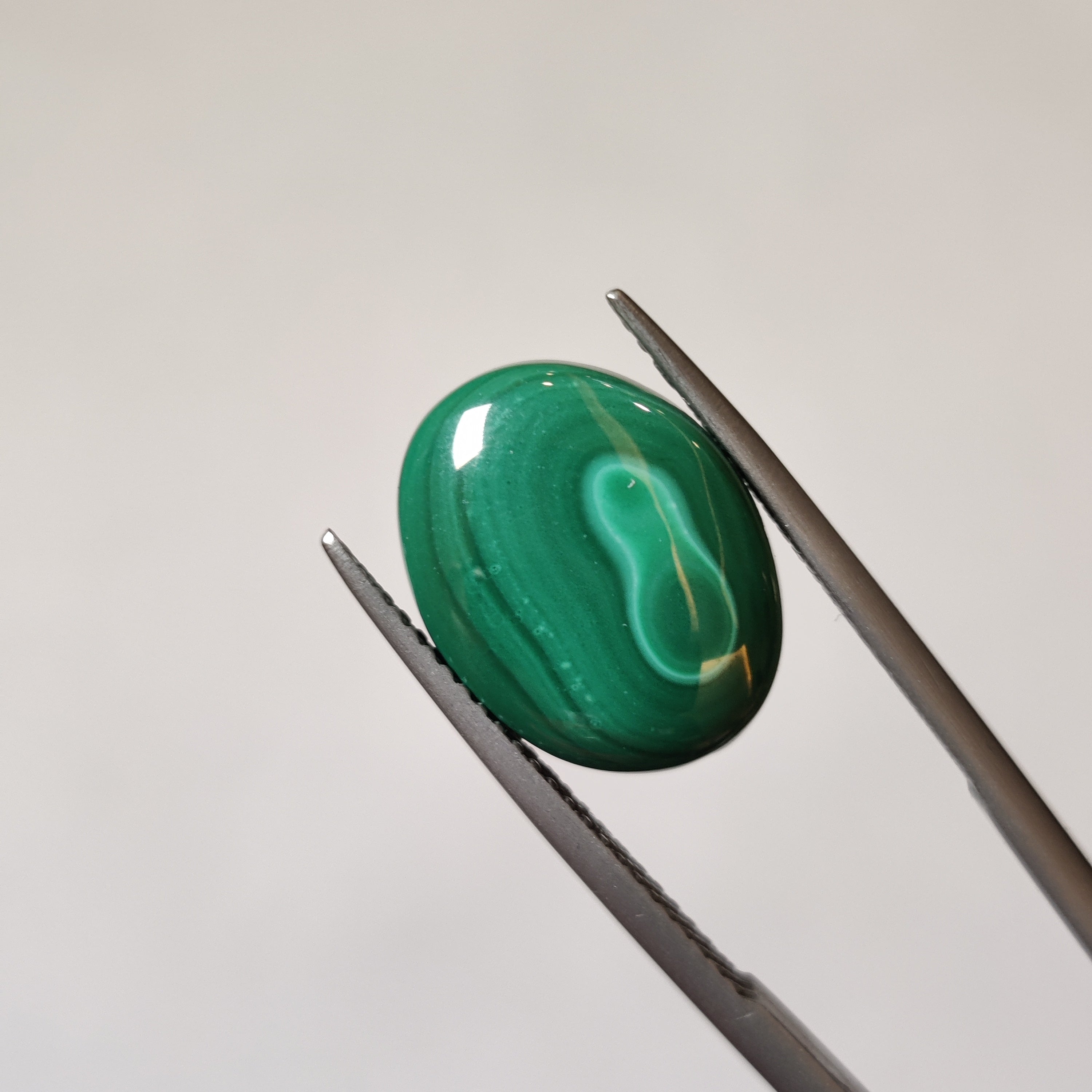 Malachite | Malachite 63 | 7.92 Carat