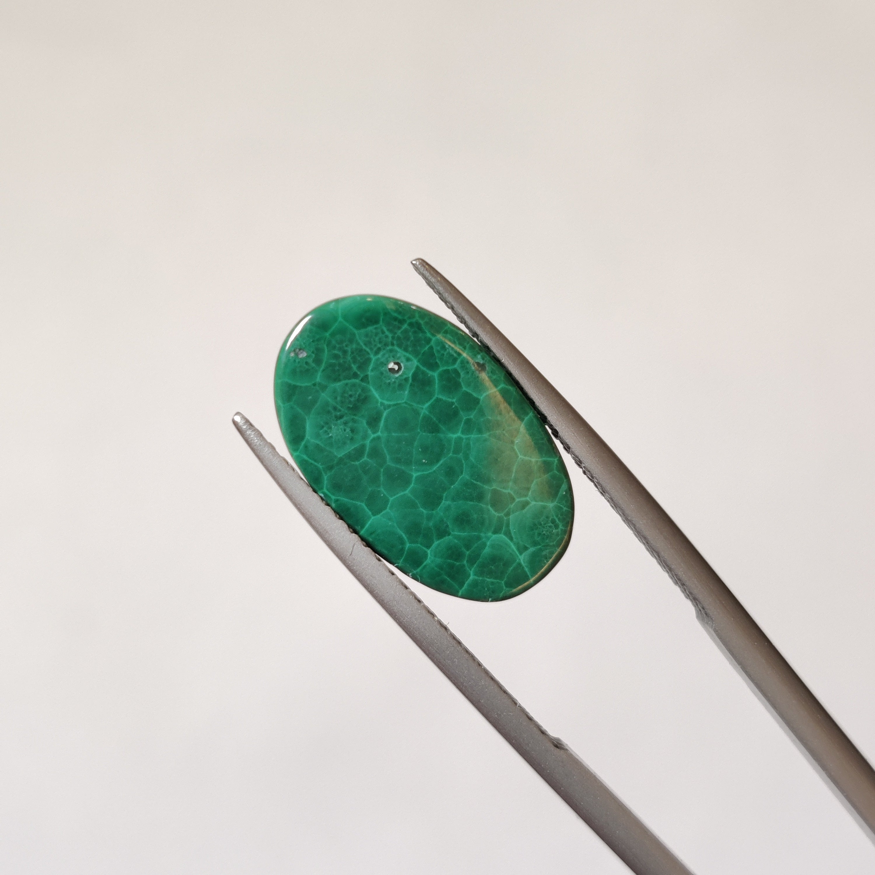 Malachite | Malachite 49 | 7.94 Carat