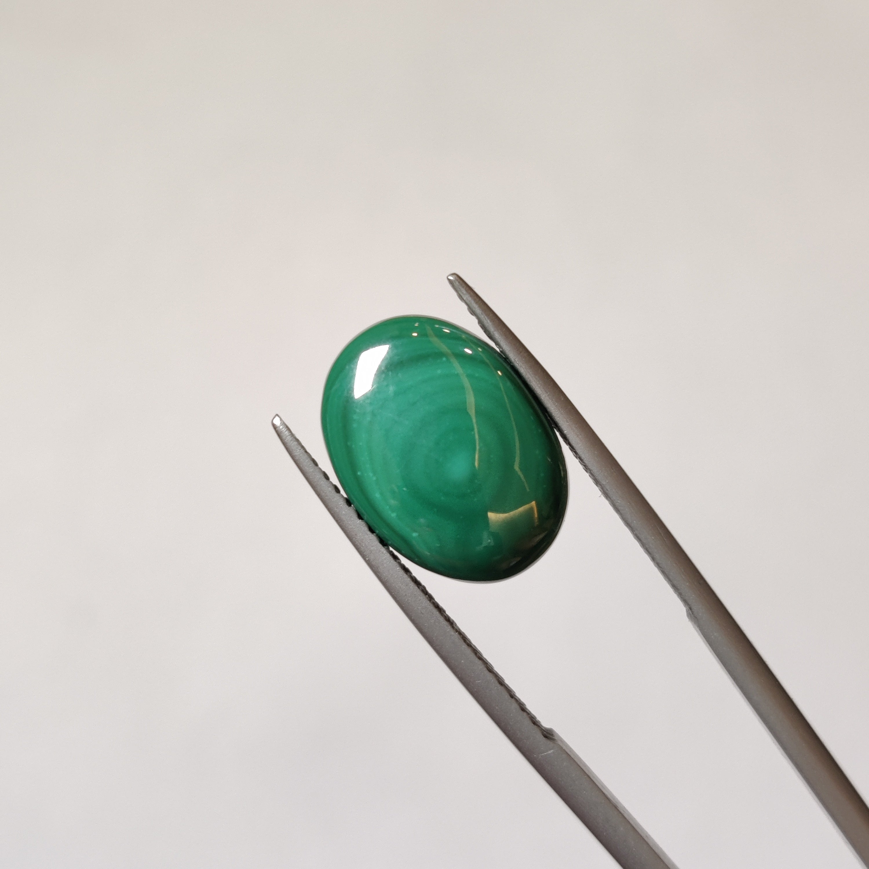 Malachite | Malachite 13 | 7.8 Carat