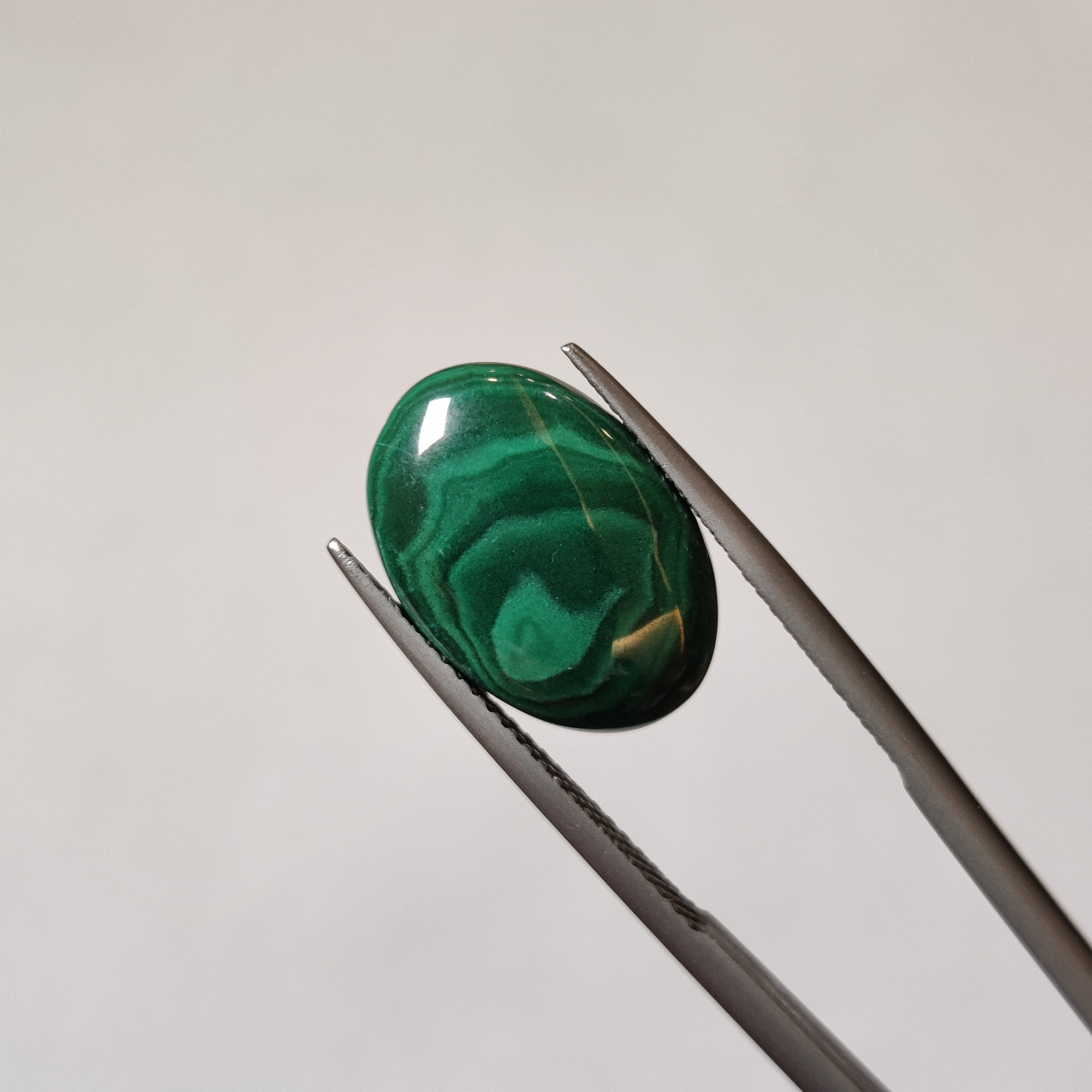 Malachite | Malachite 37 | 7.42 Carat