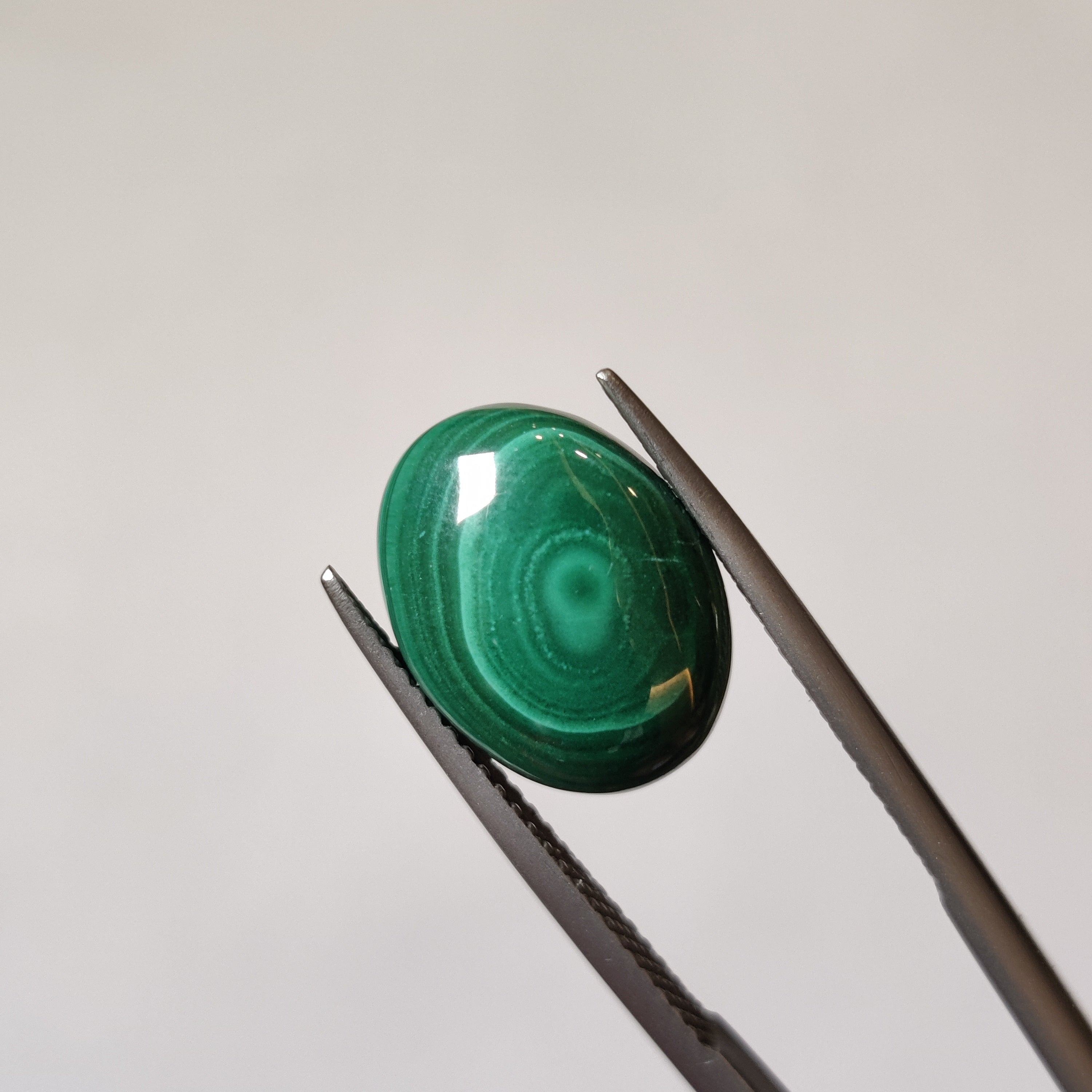 Malachite | Malachite 47 | 7.08 Carat