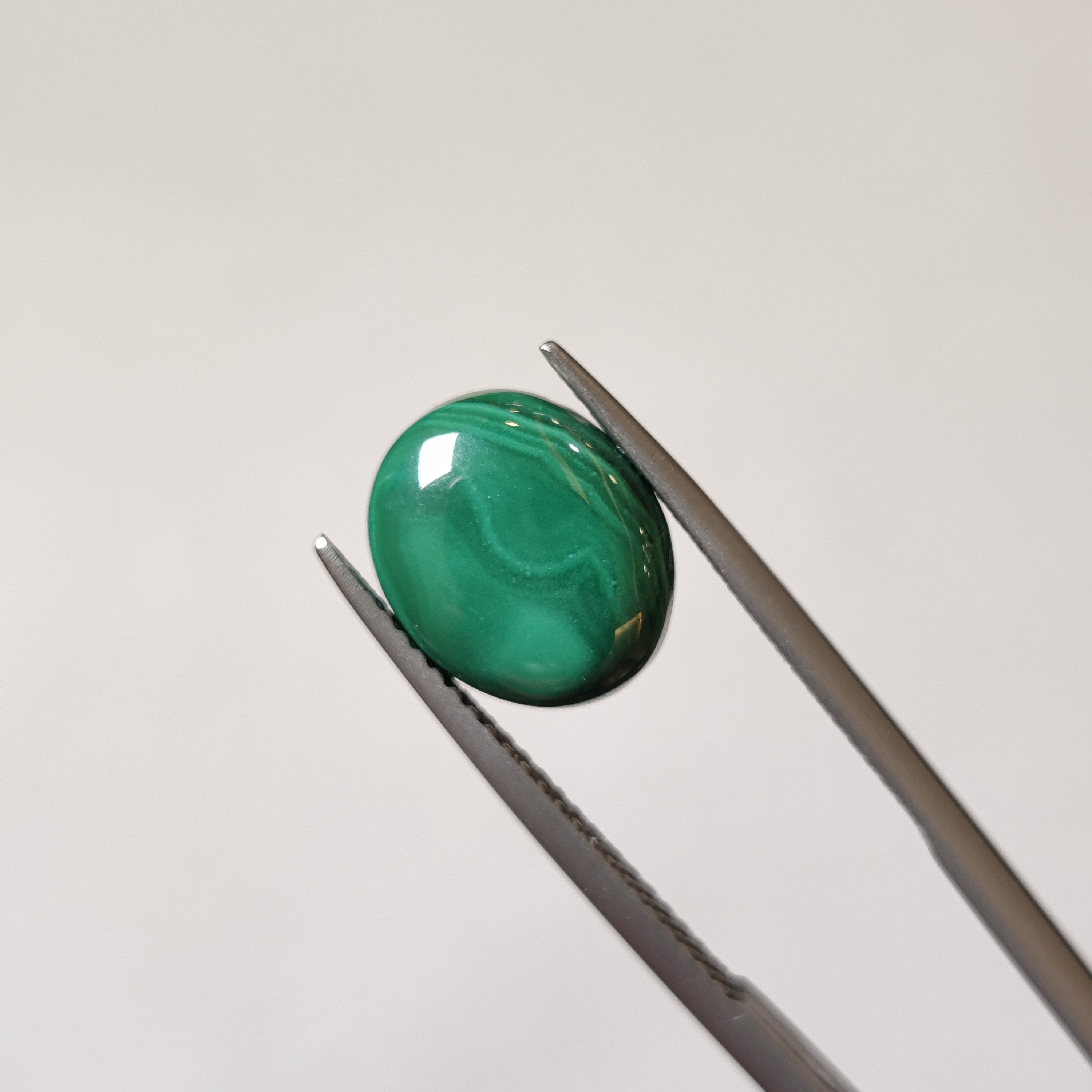 Malachite | Malachite 39 | 4.74 Carat