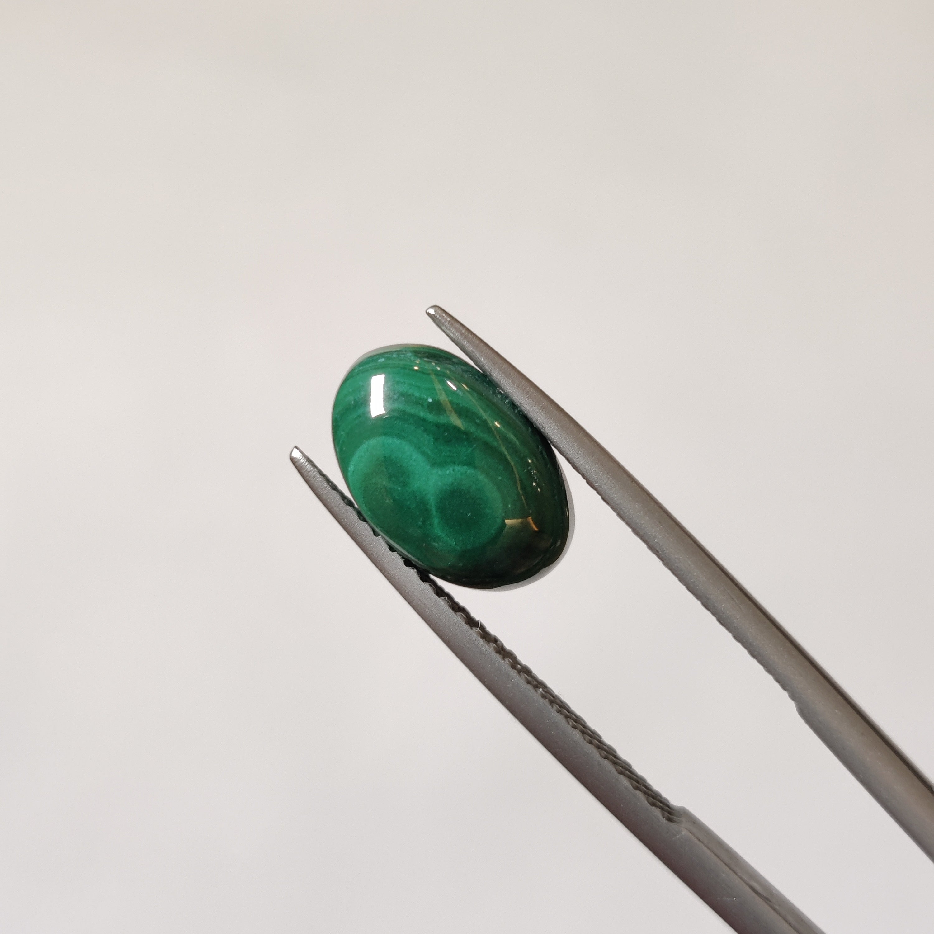 Malachite | Malachite 12 | 4.56 Carat