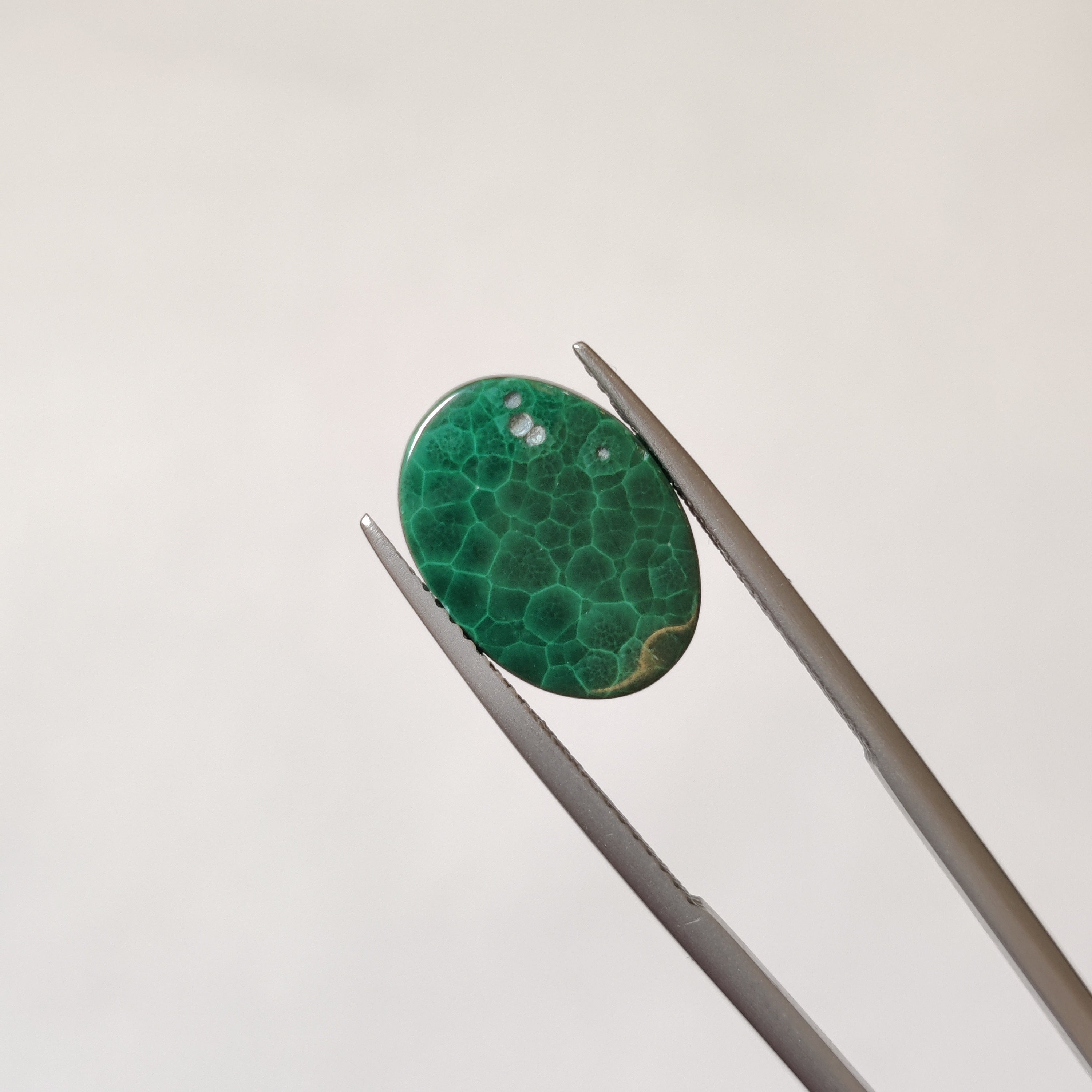 Malachite | Malachite 50 | 10.47 Carat