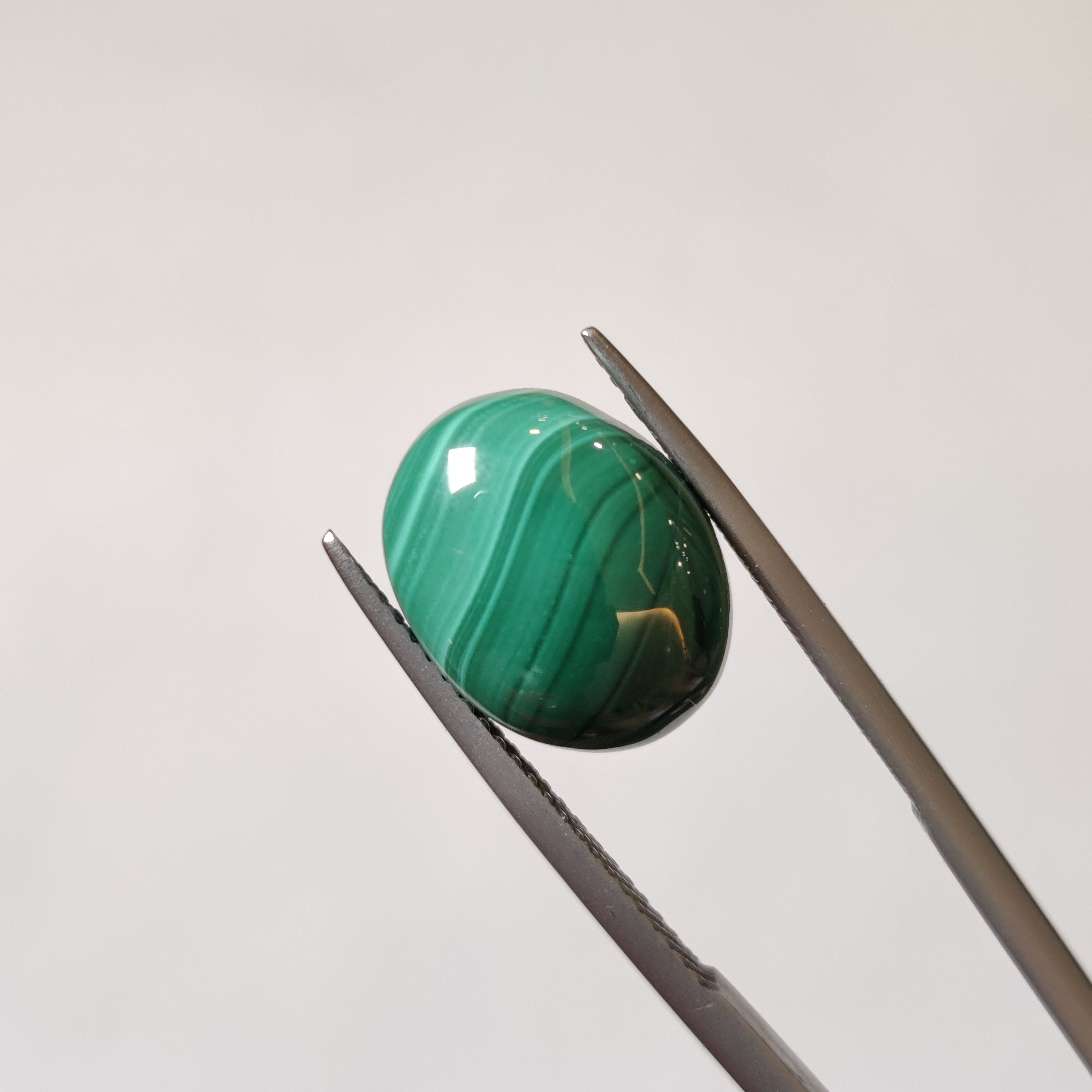 Malachite | Malachite 31 | 10.24 Carat