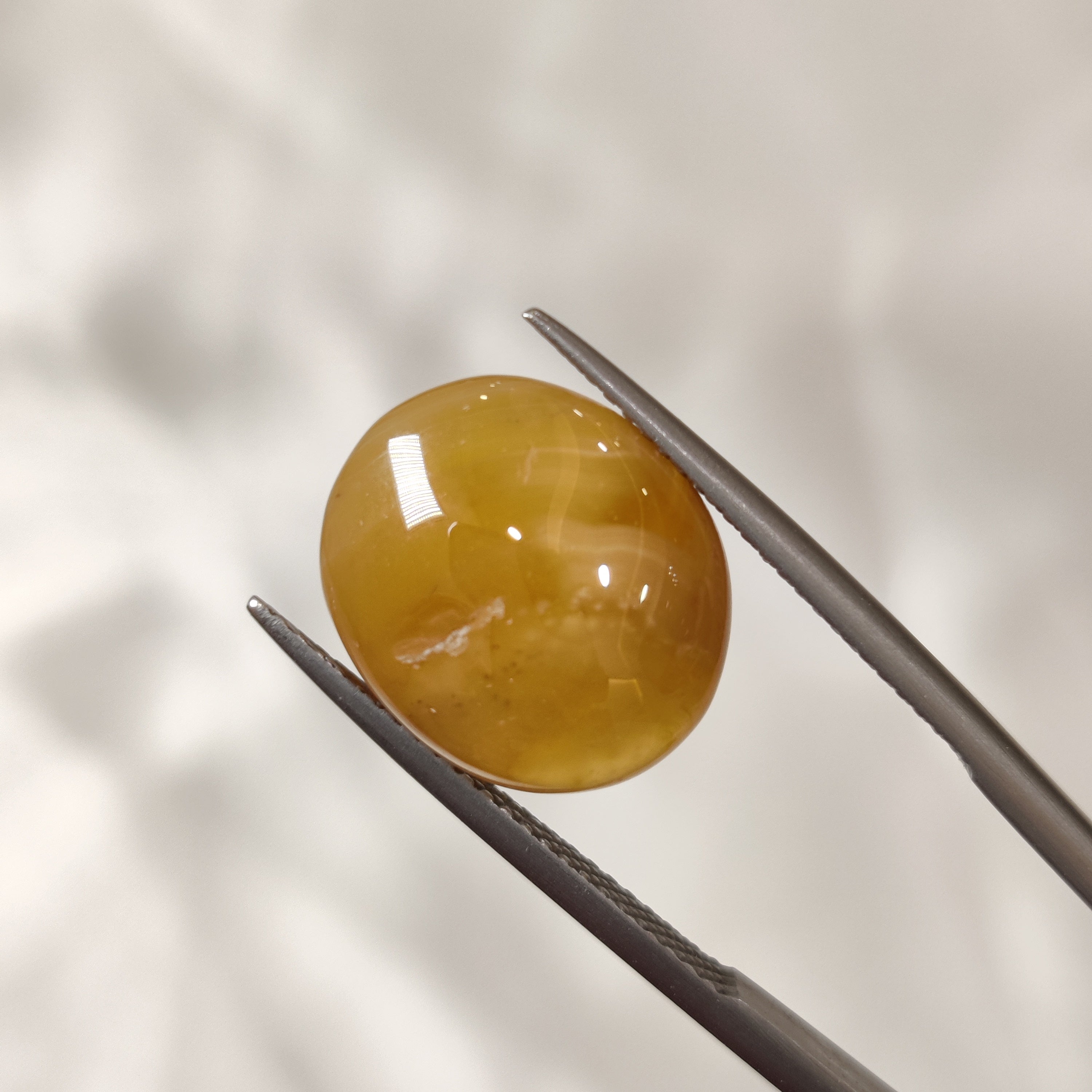 Carnelian | CNL 23 | 7.96 Carat