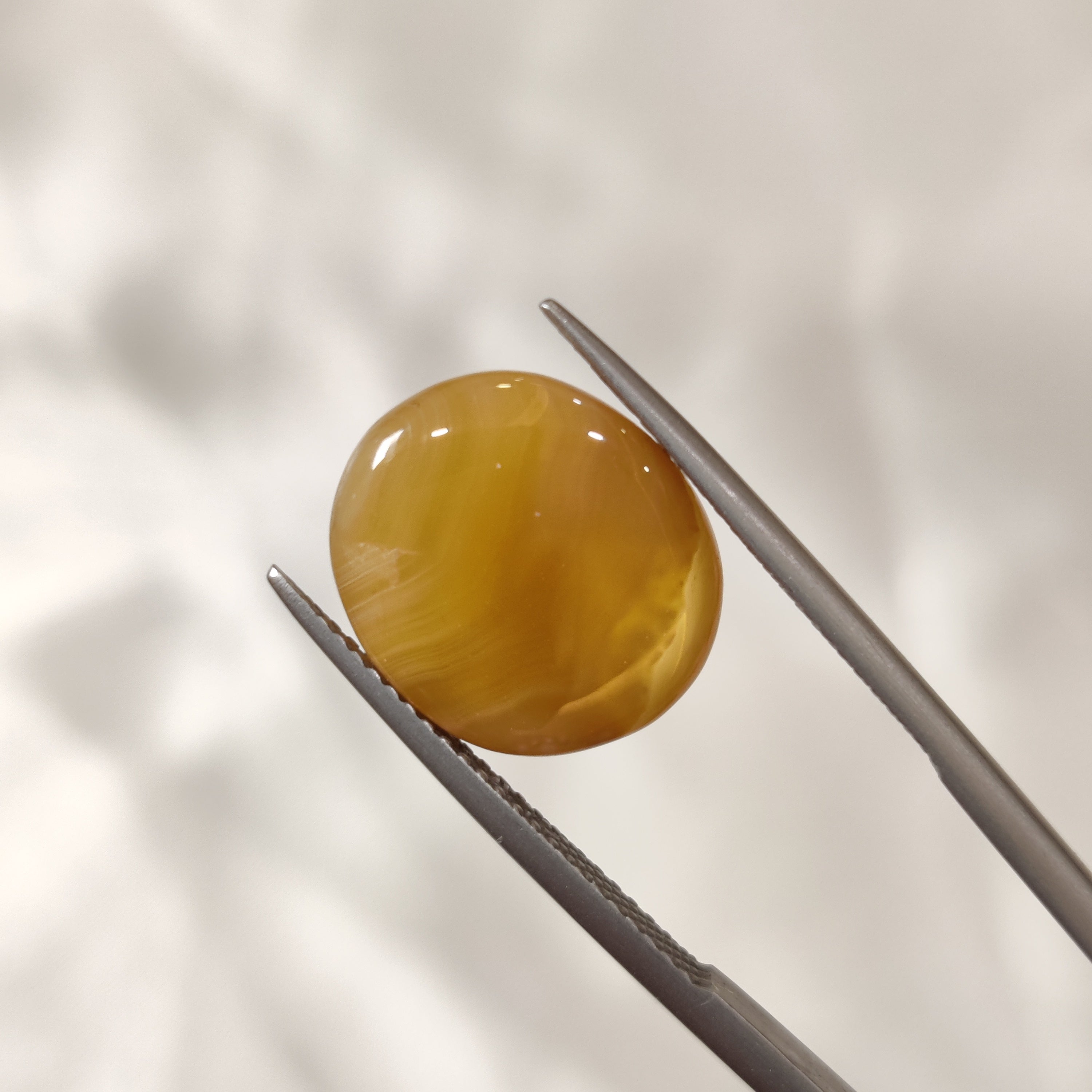 Carnelian | CNL 23 | 7.96 Carat