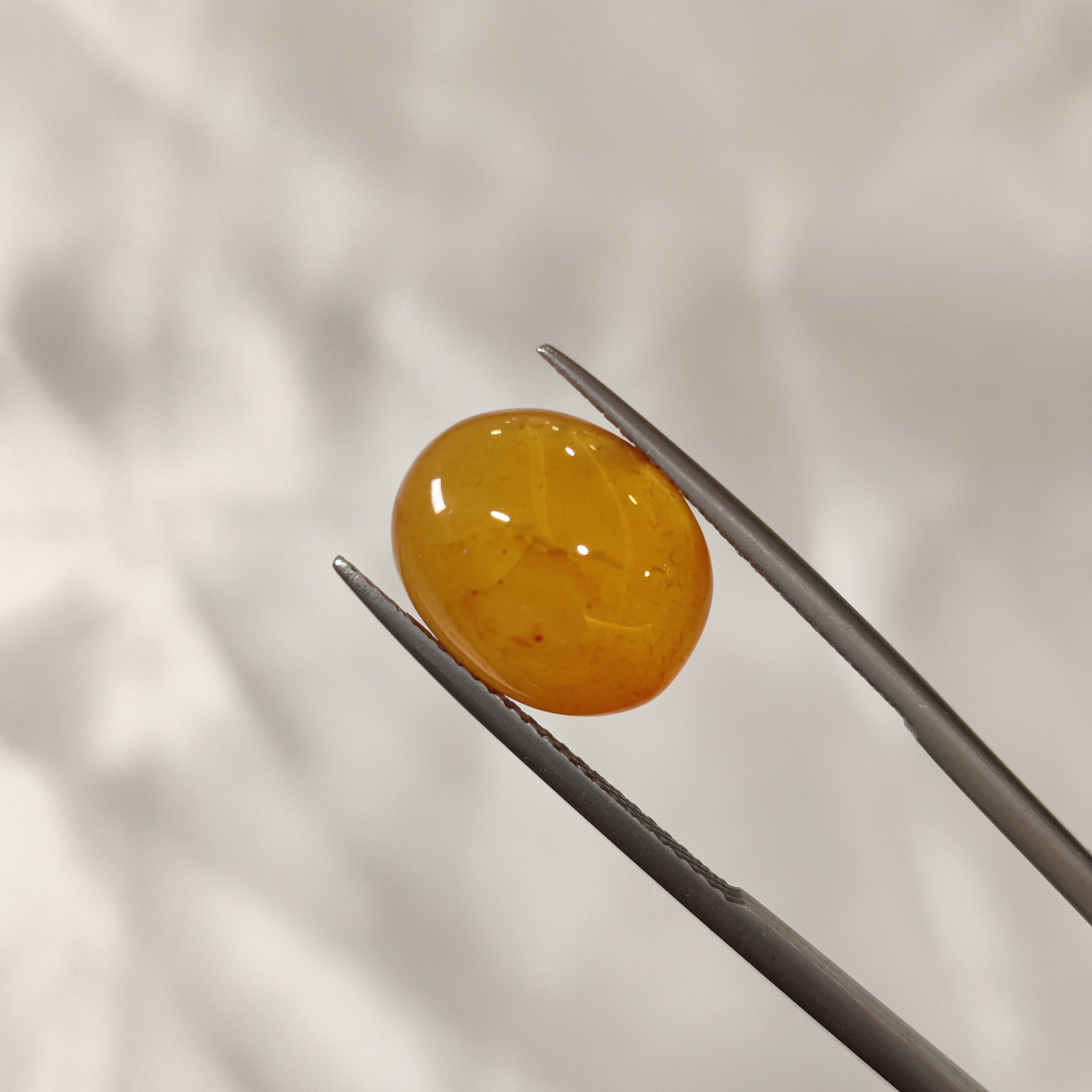 Carnelian | CNL 11 | 7.07 Carat