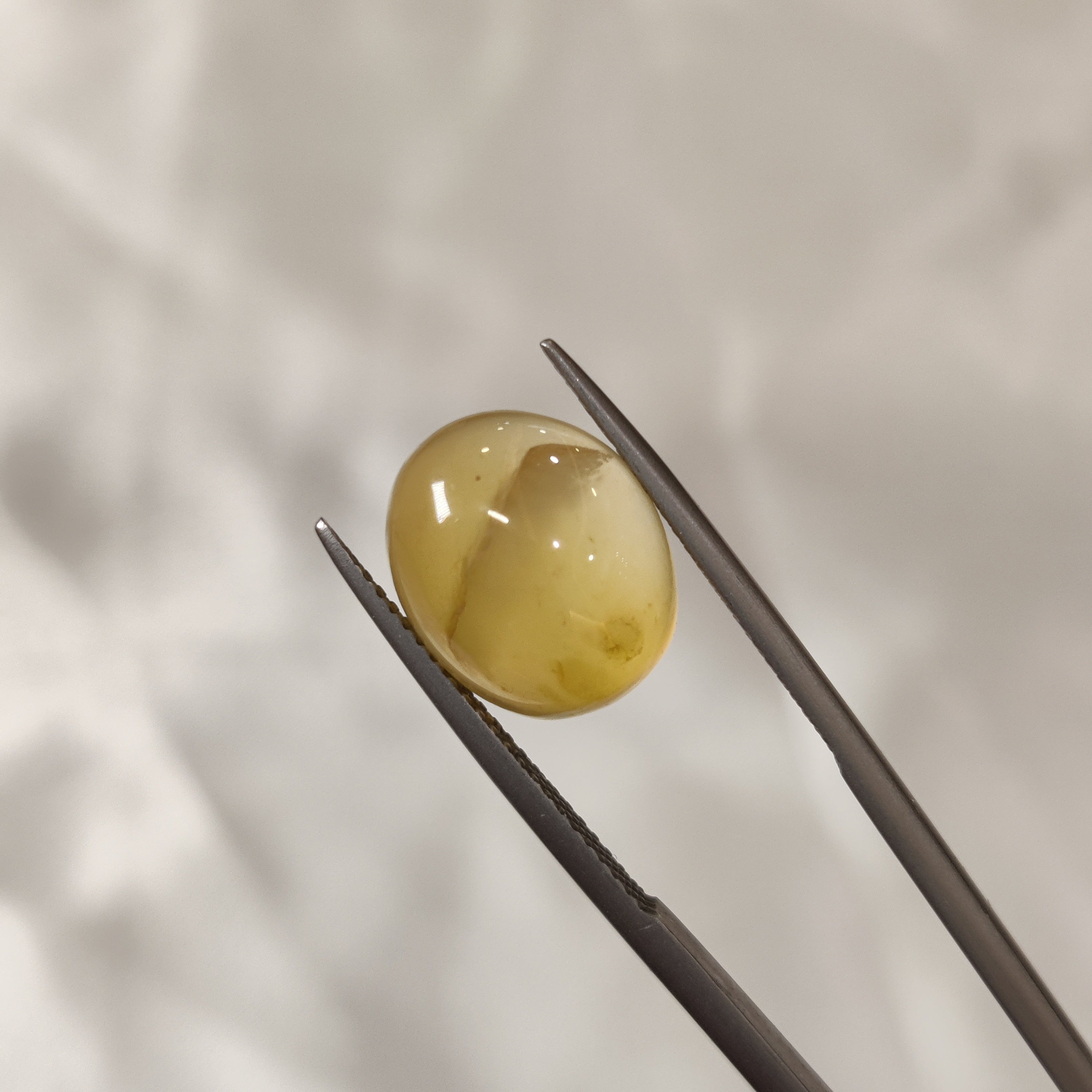 Carnelian | CNL 12 | 7.1 Carat