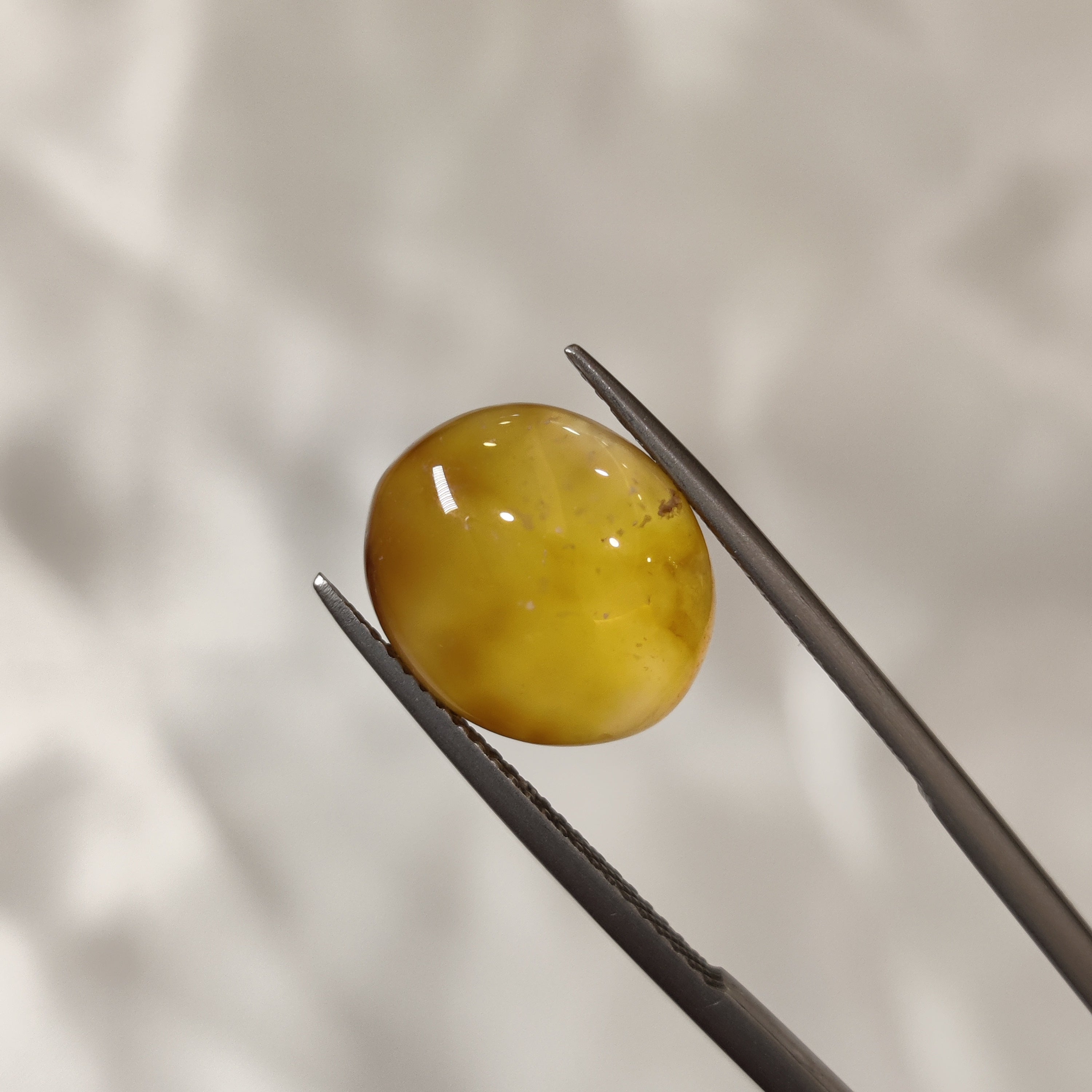 Carnelian | CNL 14 | 7.25 Carat