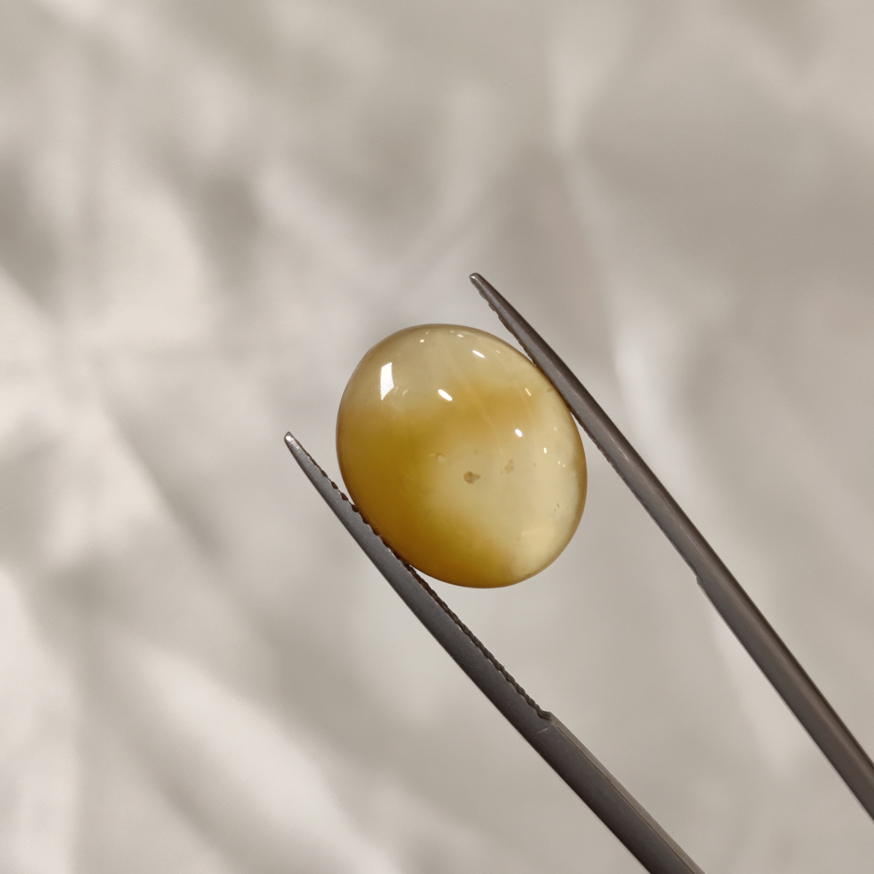 Carnelian | CNL 19 | 7.75 Carat