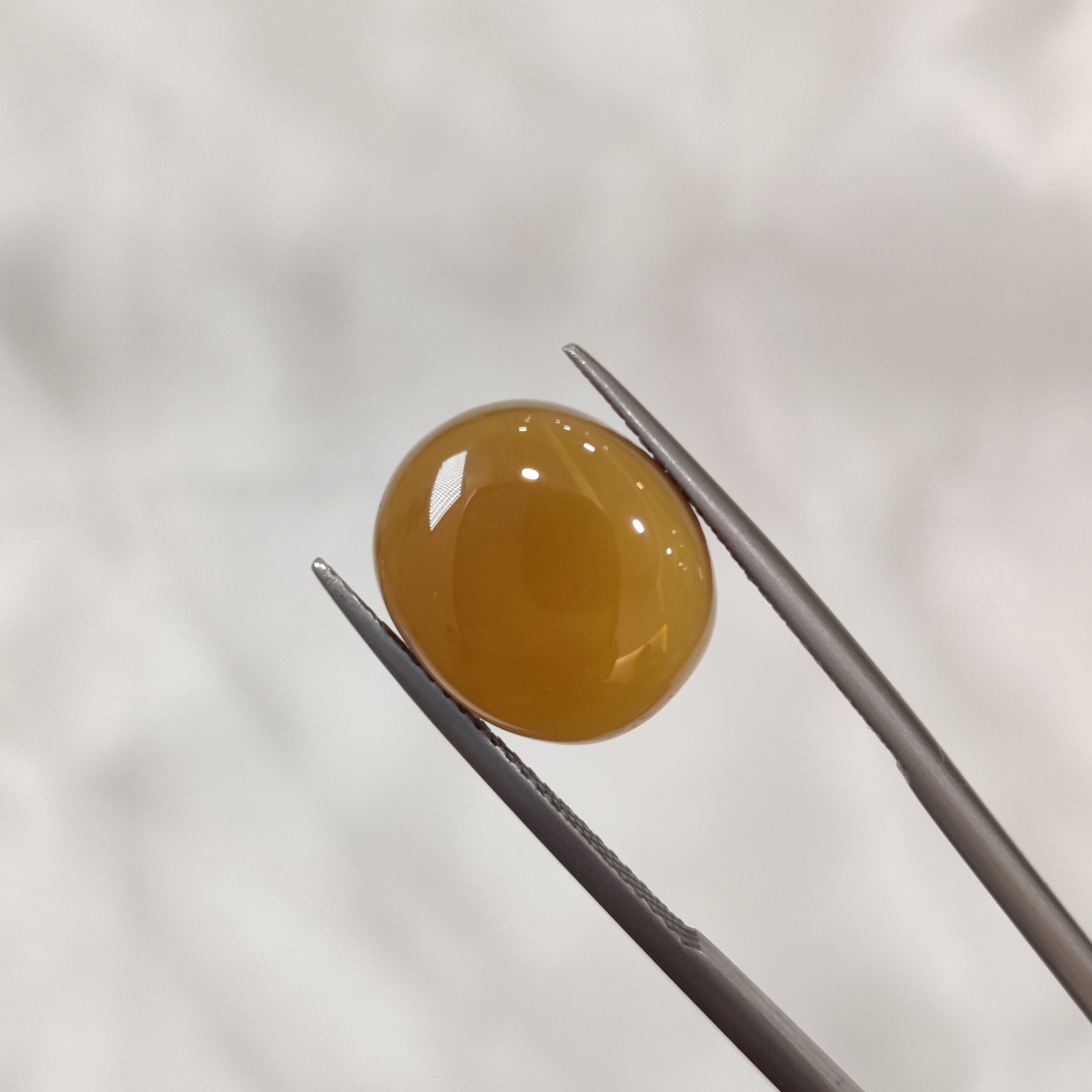 Carnelian | CNL 32 | 8.55 Carat