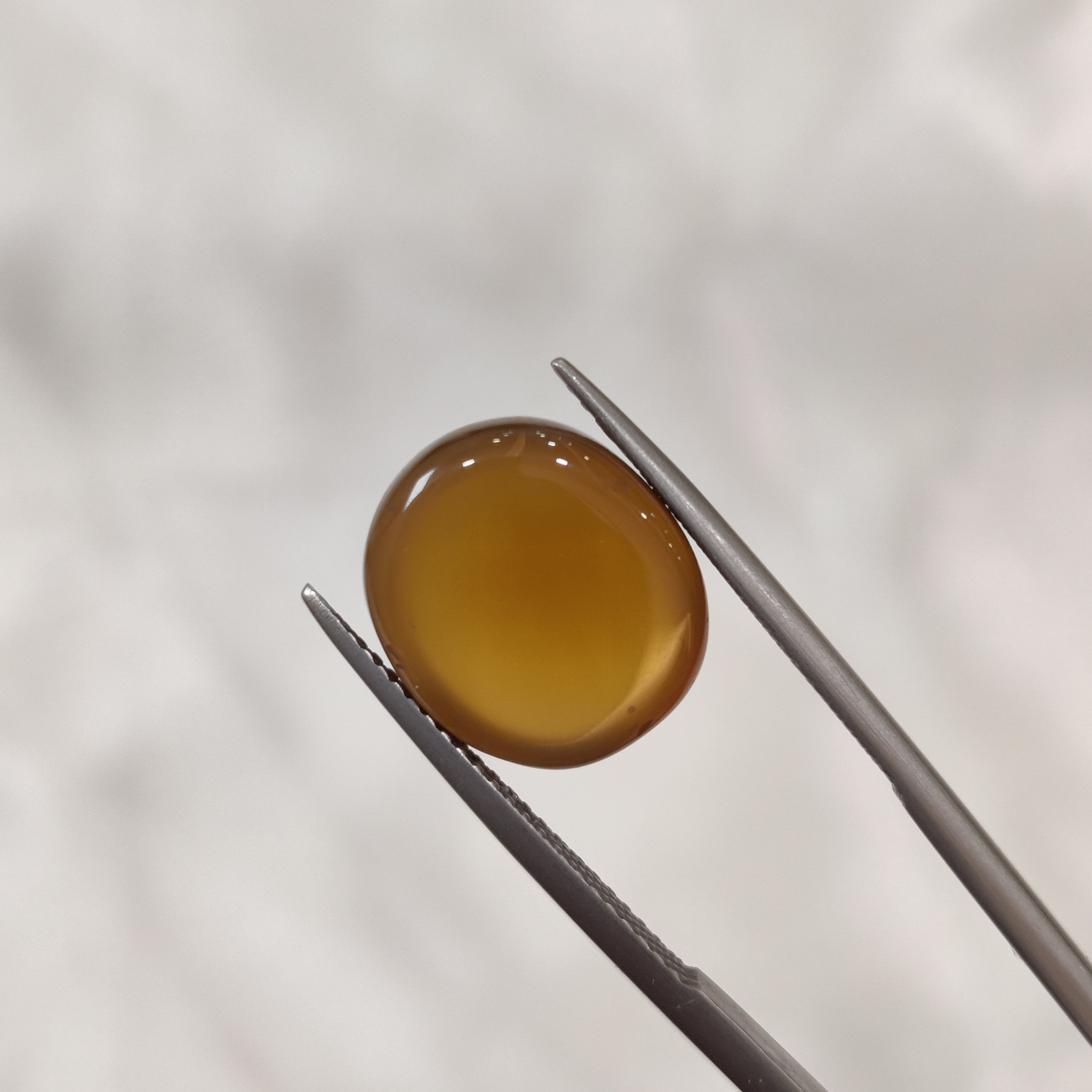 Carnelian | CNL 32 | 8.55 Carat