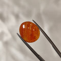 Carnelian | CNL 36 | 8.94 Carat