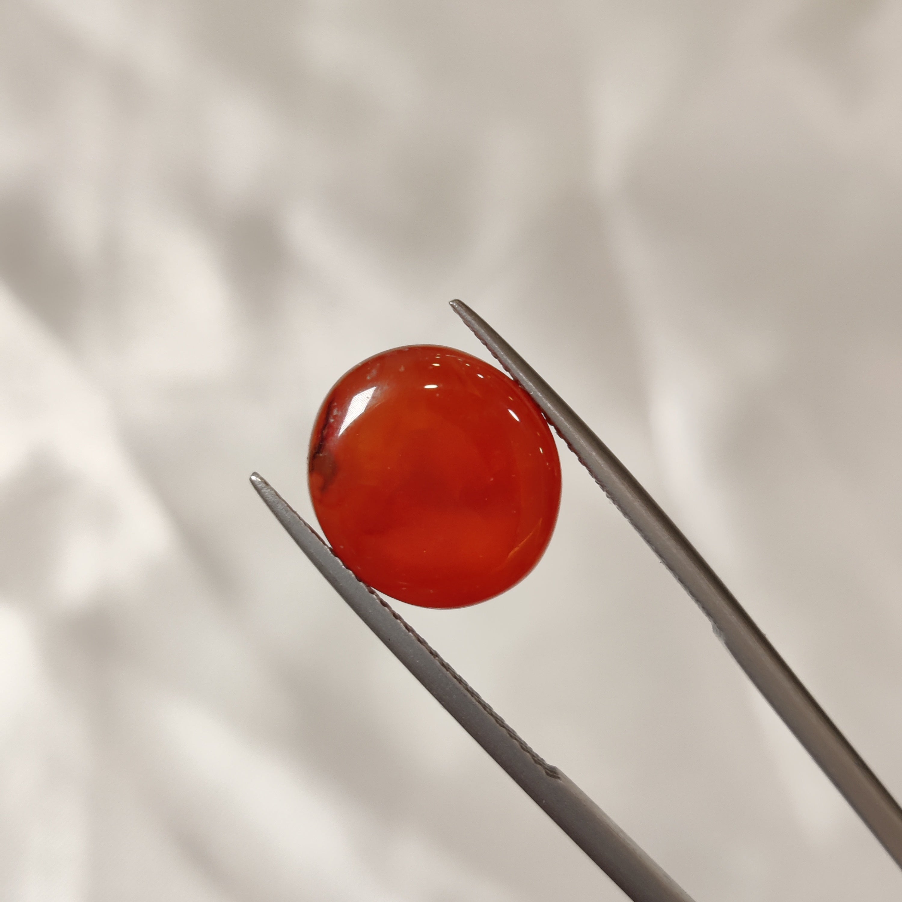 Carnelian | CNL 31 | 8.55 Carat