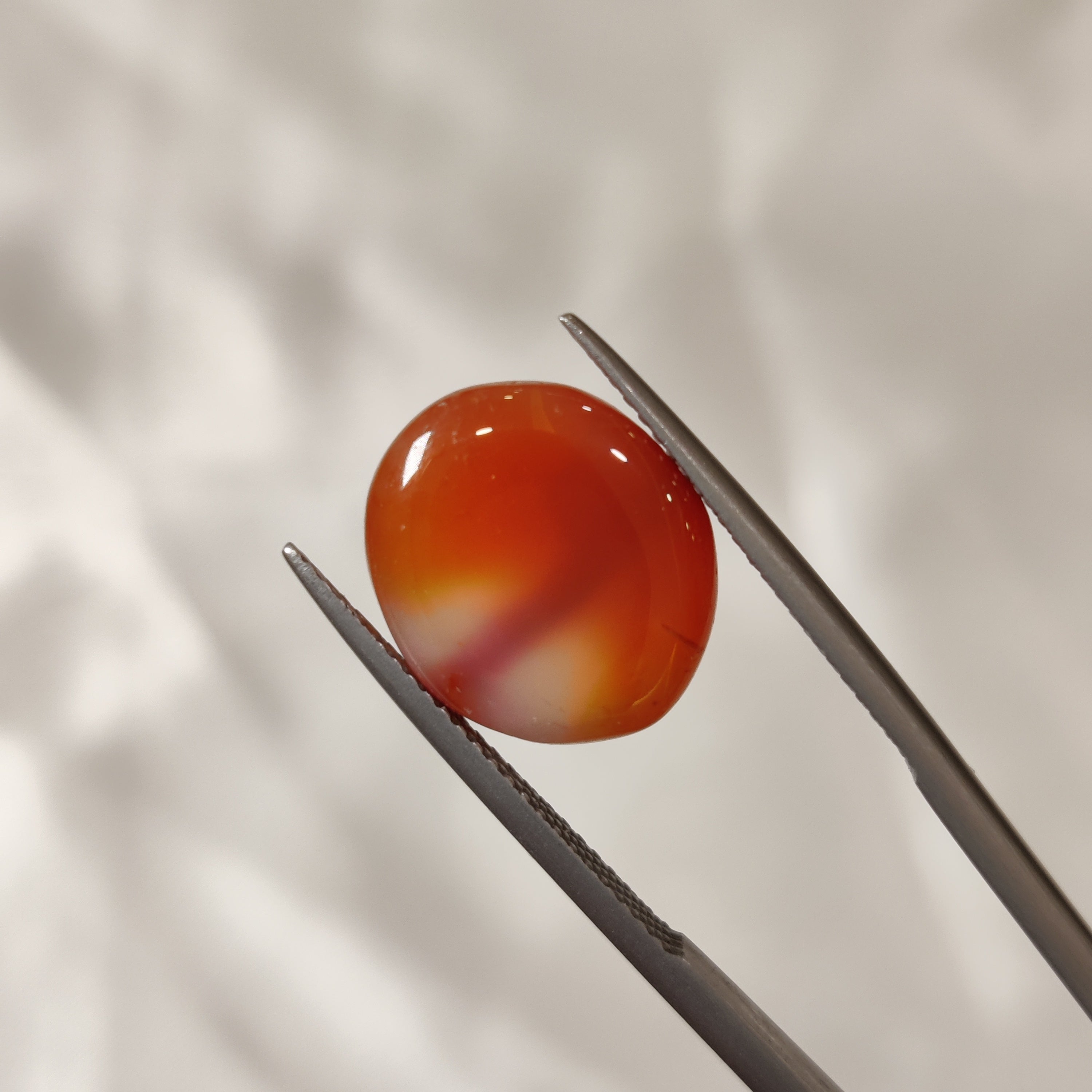 Carnelian | CNL 34 | 8.62 Carat