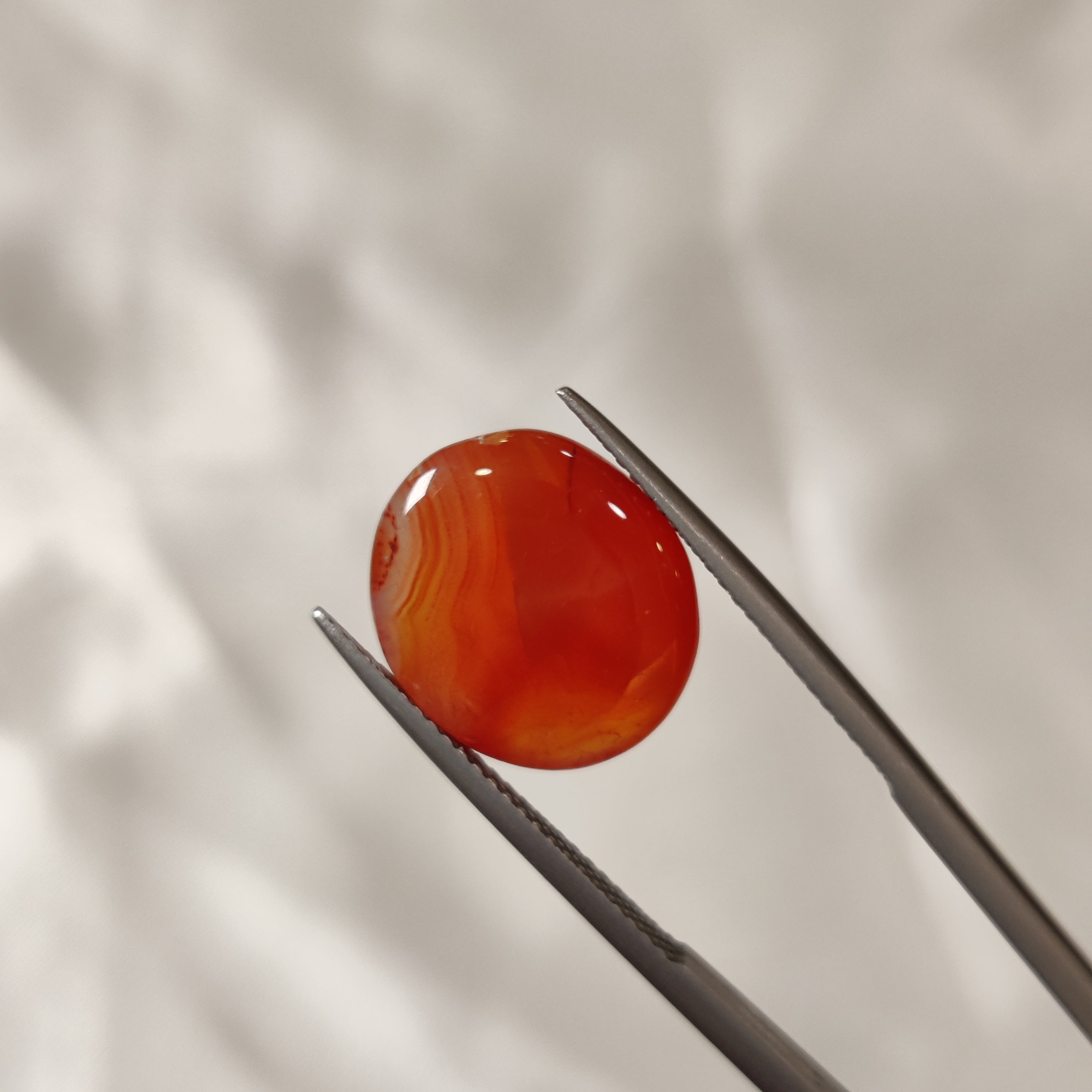 Carnelian | CNL 28 | 8.32 Carat