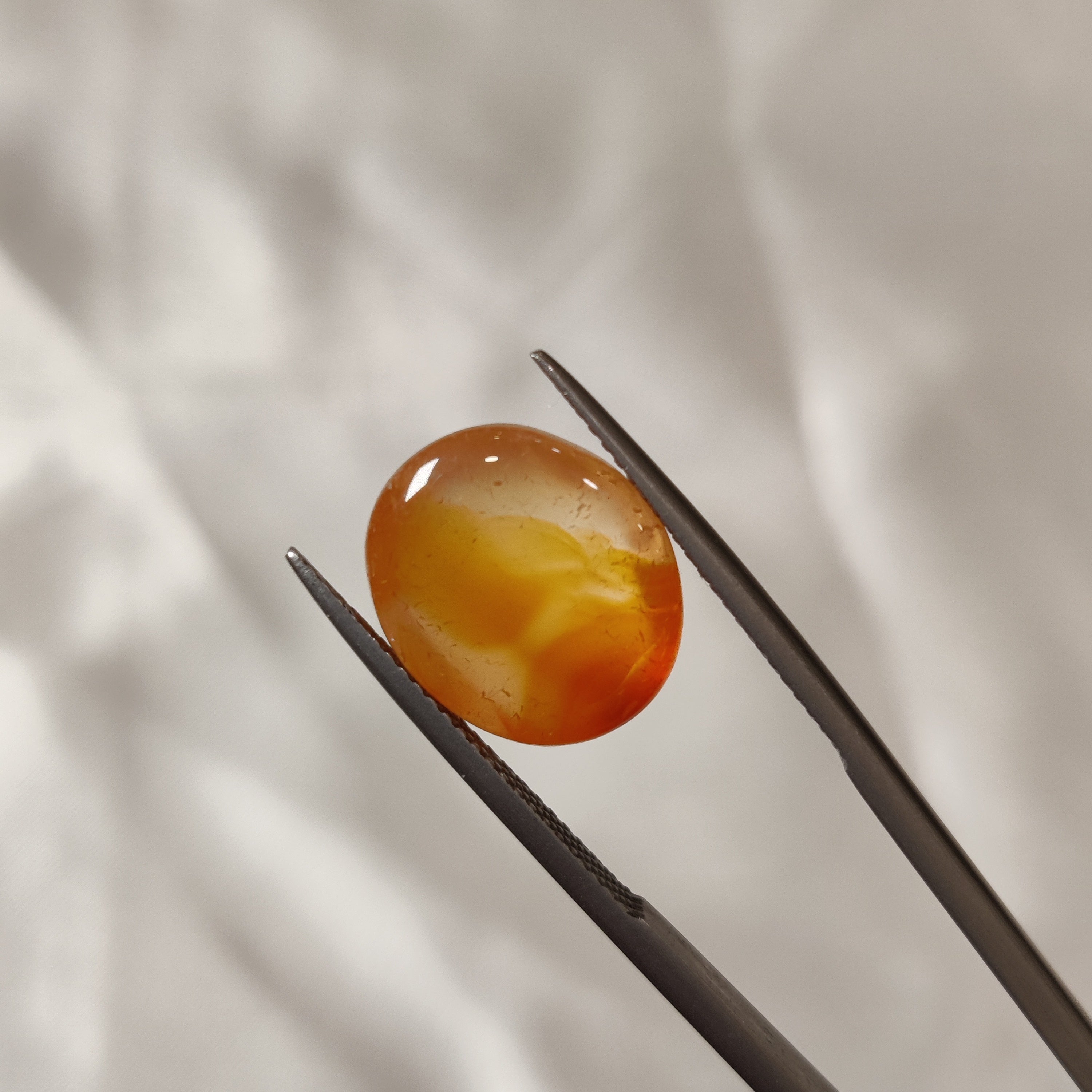 Carnelian | CNL 26 | 8.22 Carat