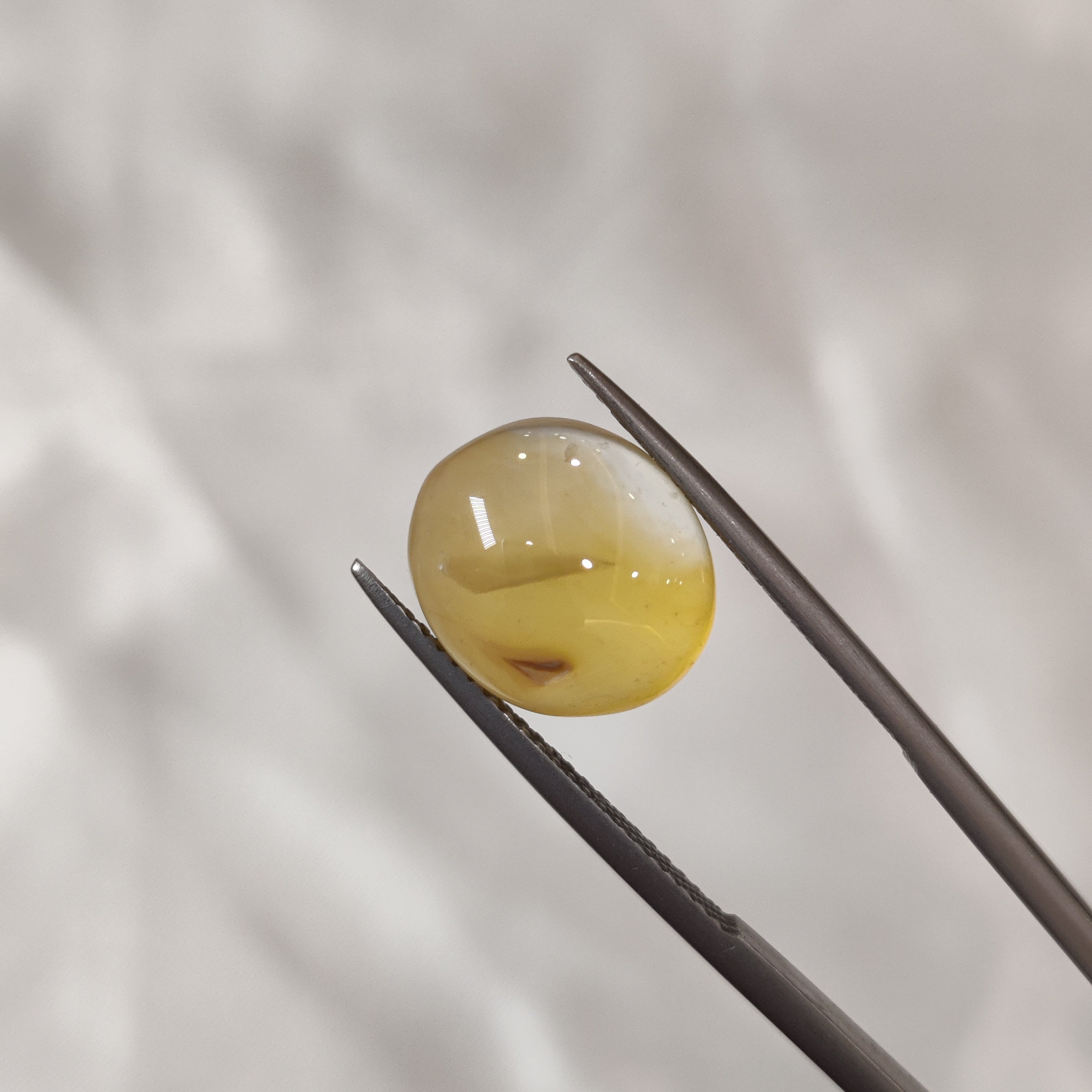 Carnelian | CNL 5 | 6.27 Carat