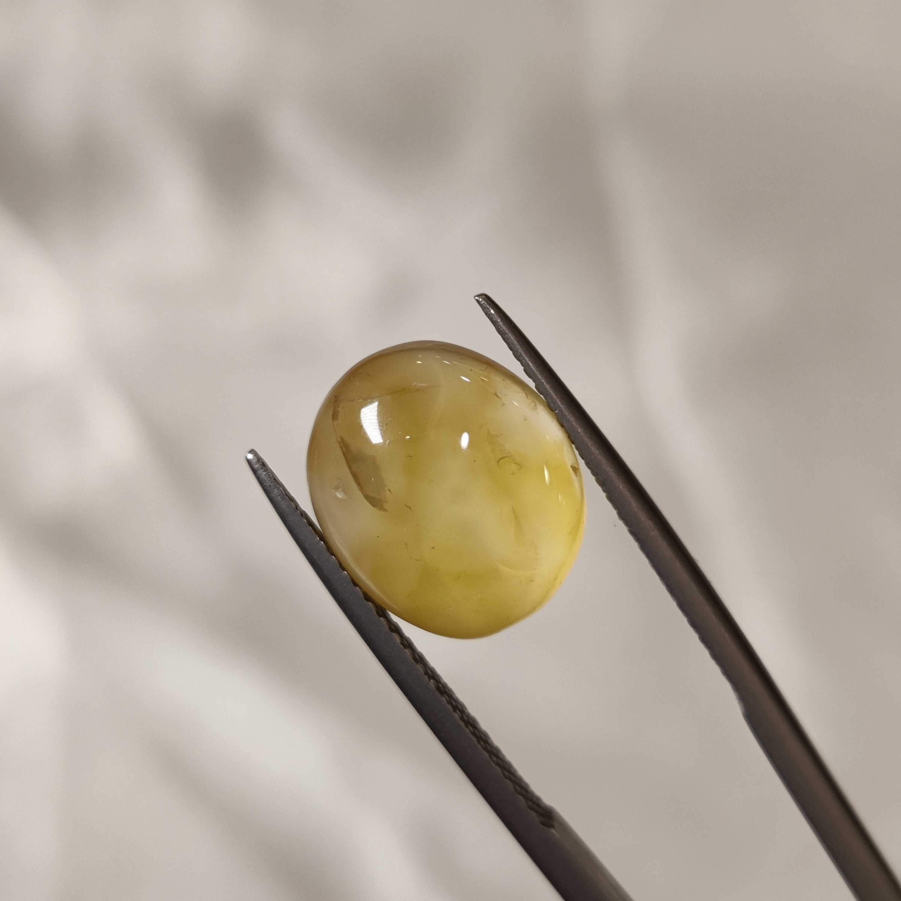 Carnelian | CNL 3 | 6.05 Carat