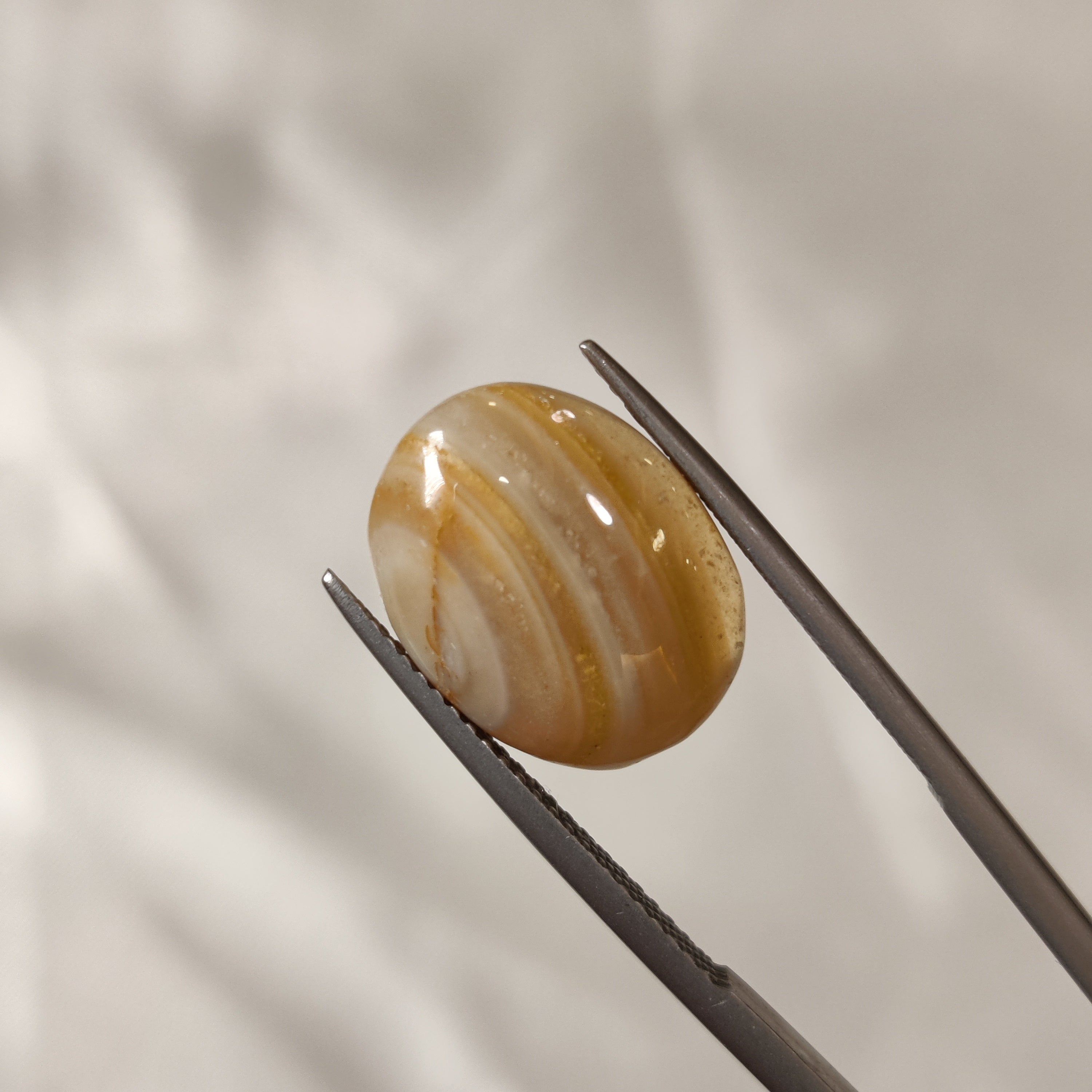 Carnelian | CNL 29 | 8.33 Carat