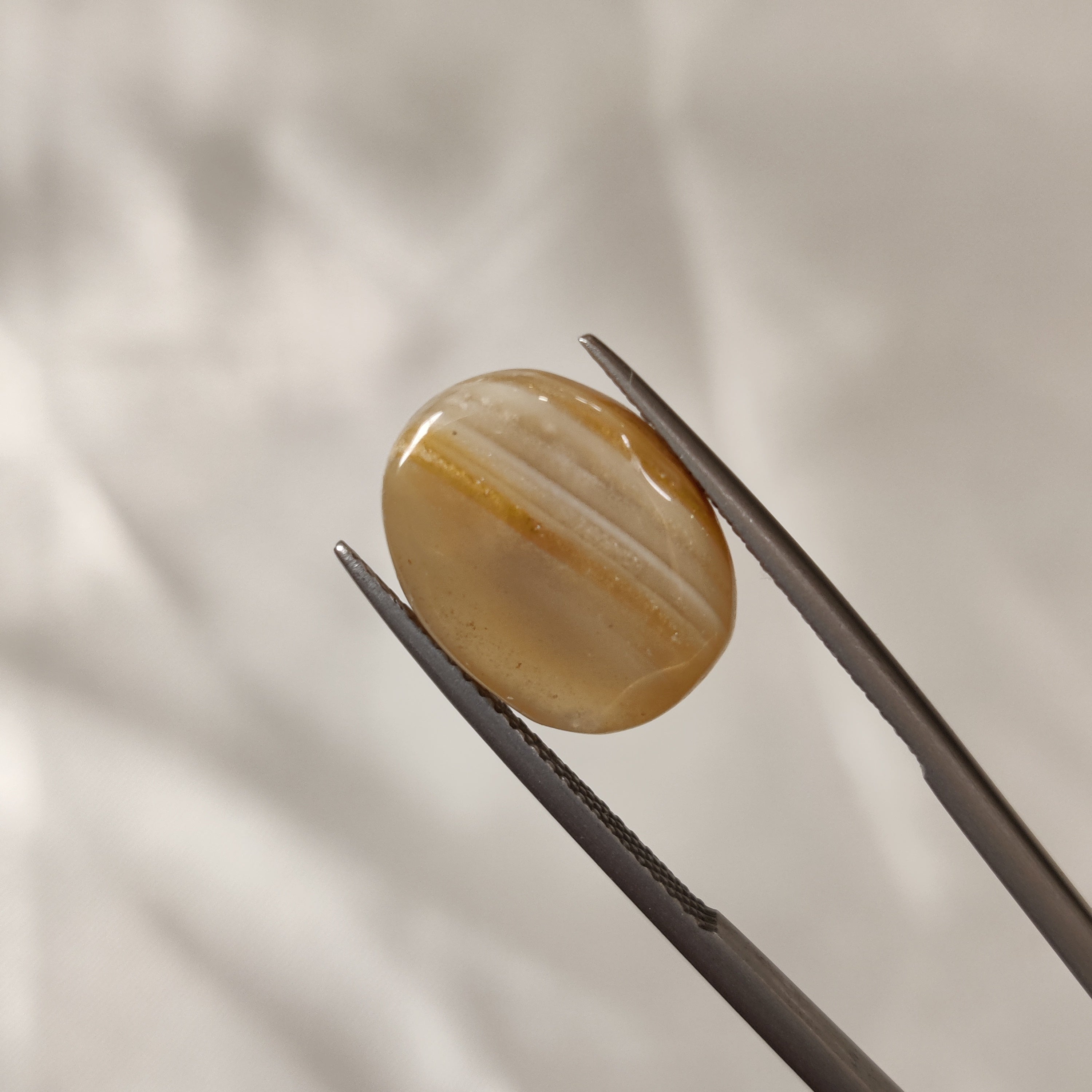 Carnelian | CNL 29 | 8.33 Carat