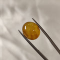 Carnelian | CNL 27 | 8.3 Carat