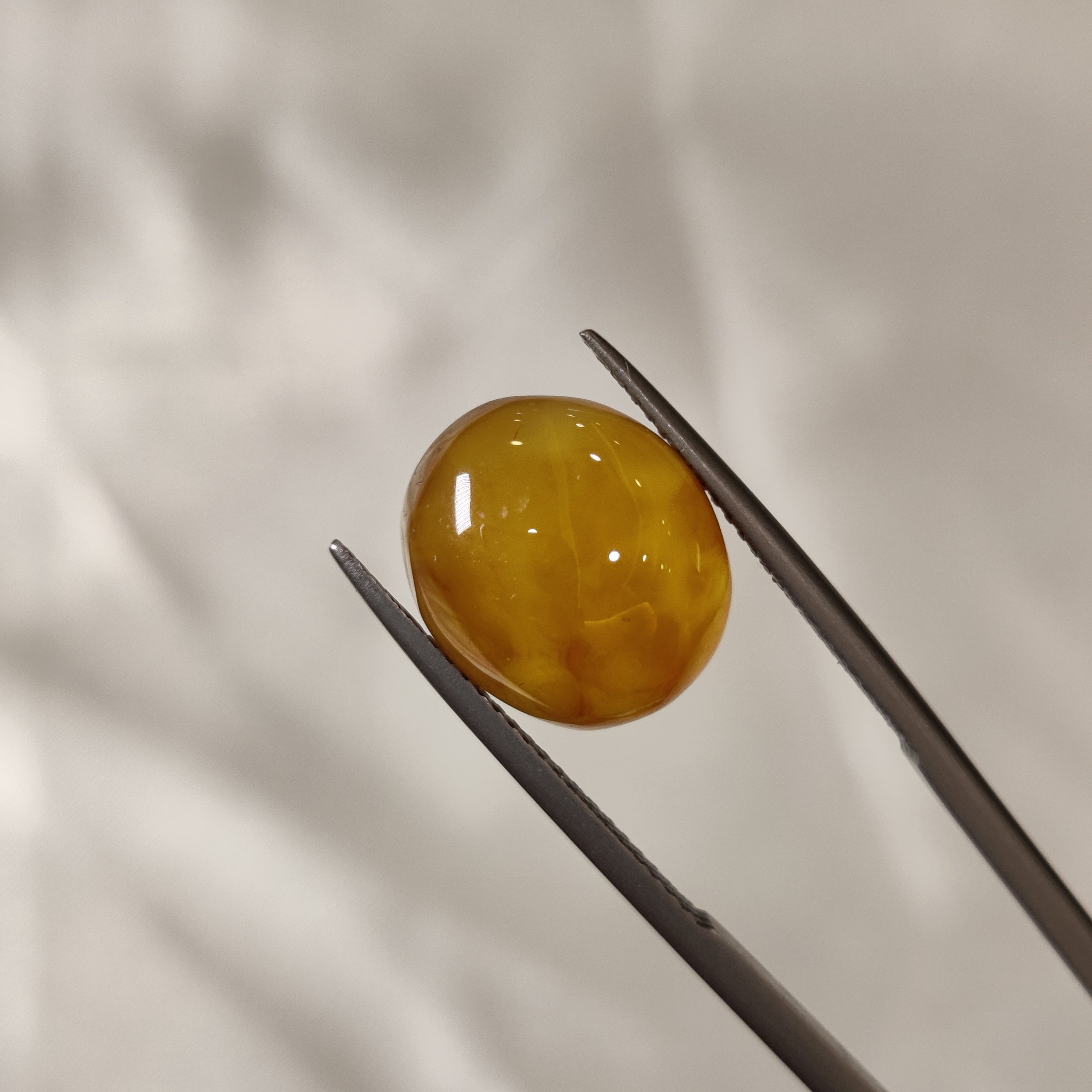 Carnelian | CNL 27 | 8.3 Carat