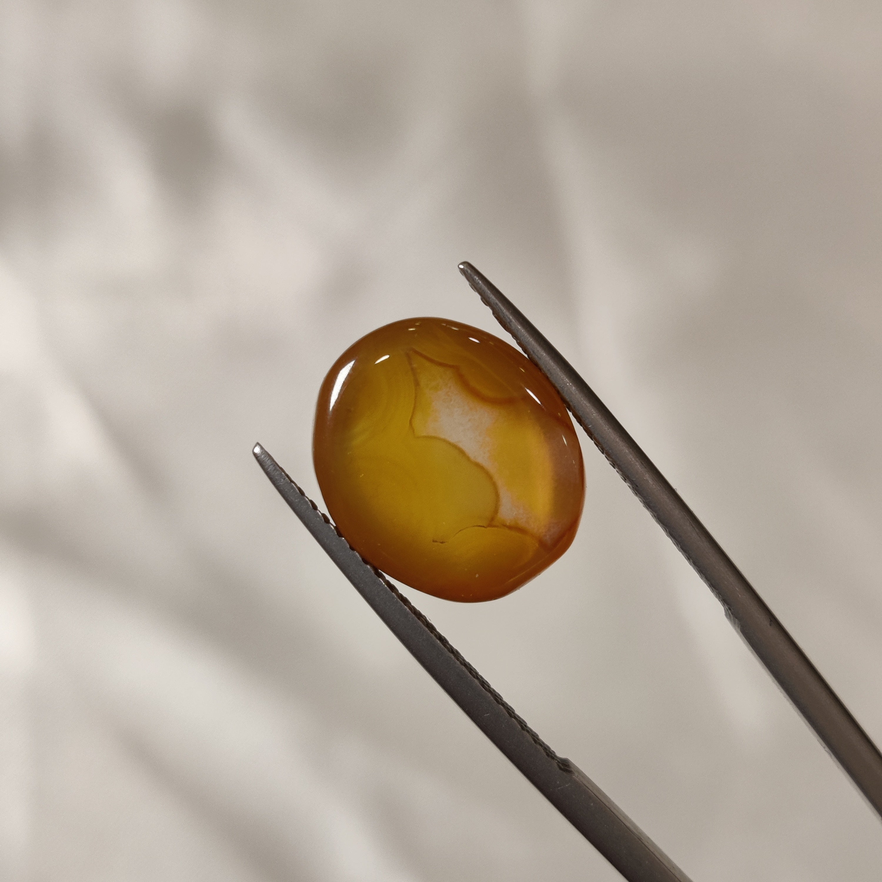 Carnelian | CNL 27 | 8.3 Carat