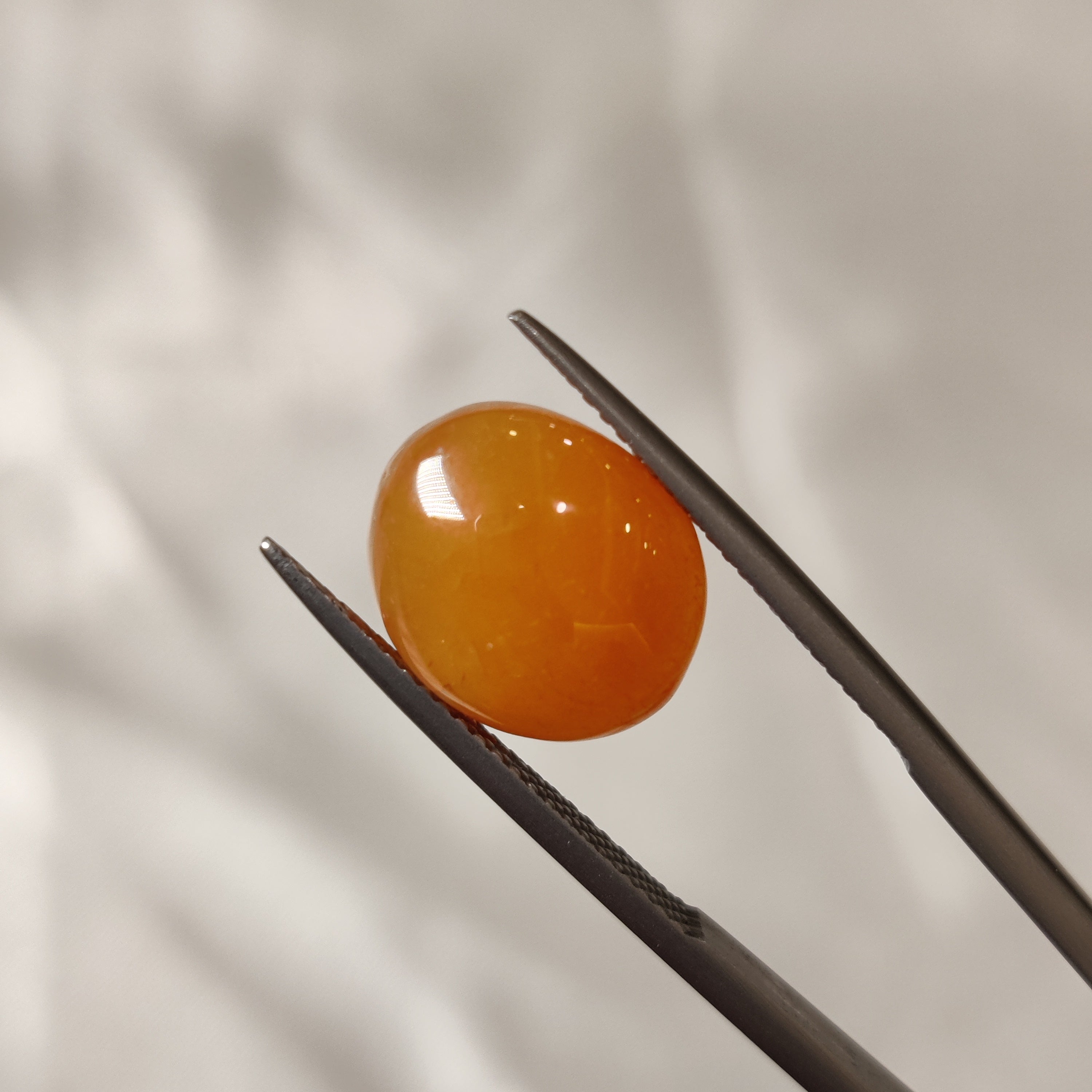 Carnelian | CNL 4 | 6.26 Carat