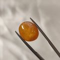 Carnelian | CNL 25 | 9.2 Carat