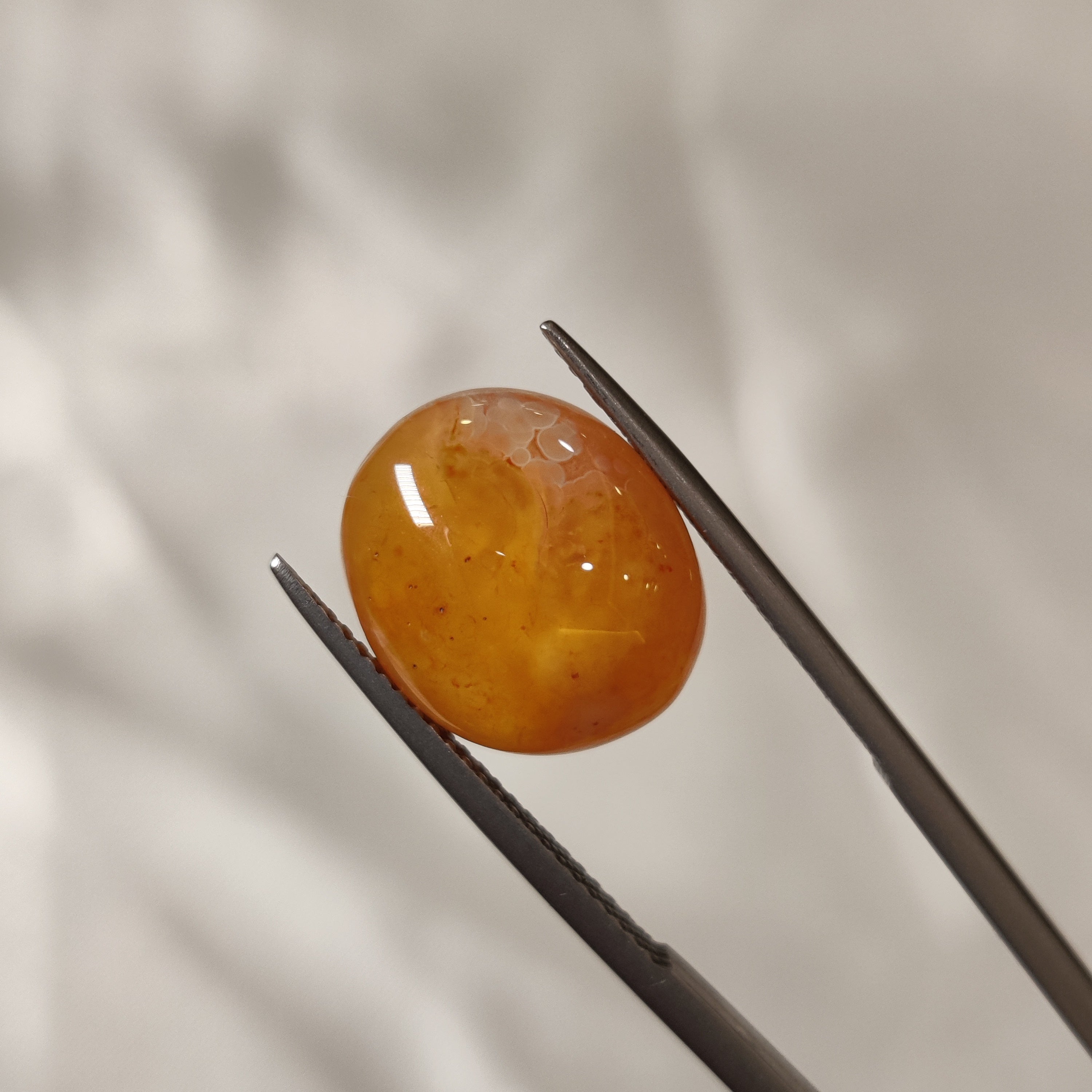 Carnelian | CNL 25 | 9.2 Carat