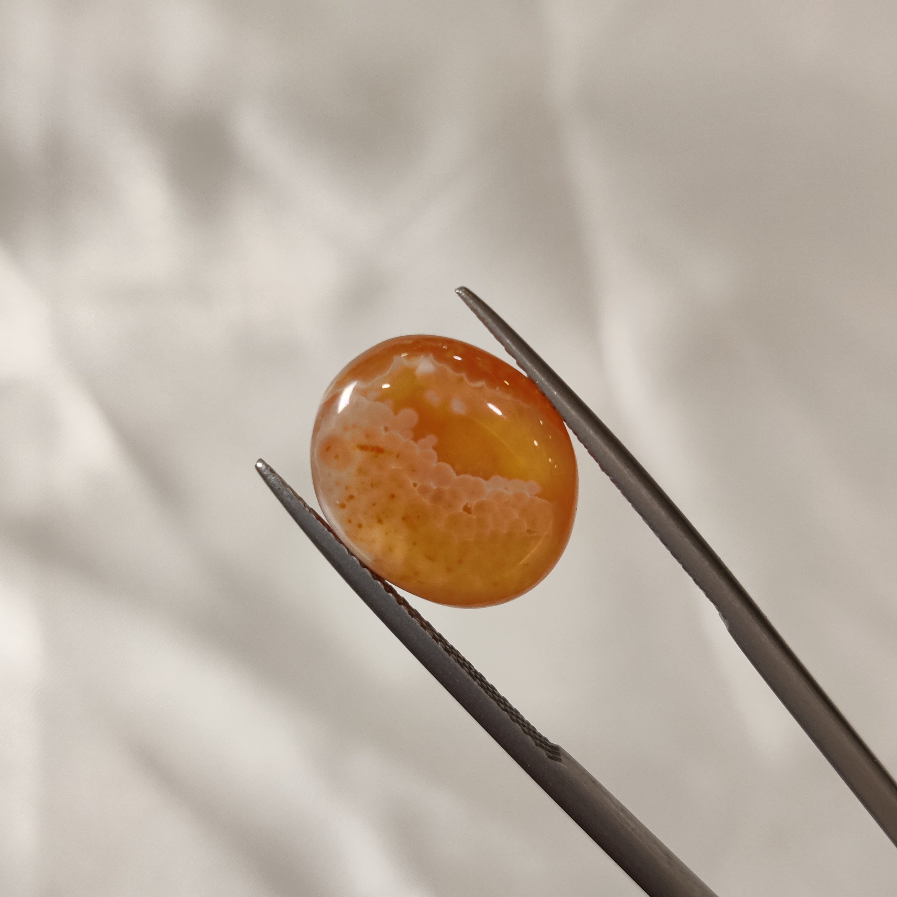 Carnelian | CNL 25 | 9.2 Carat