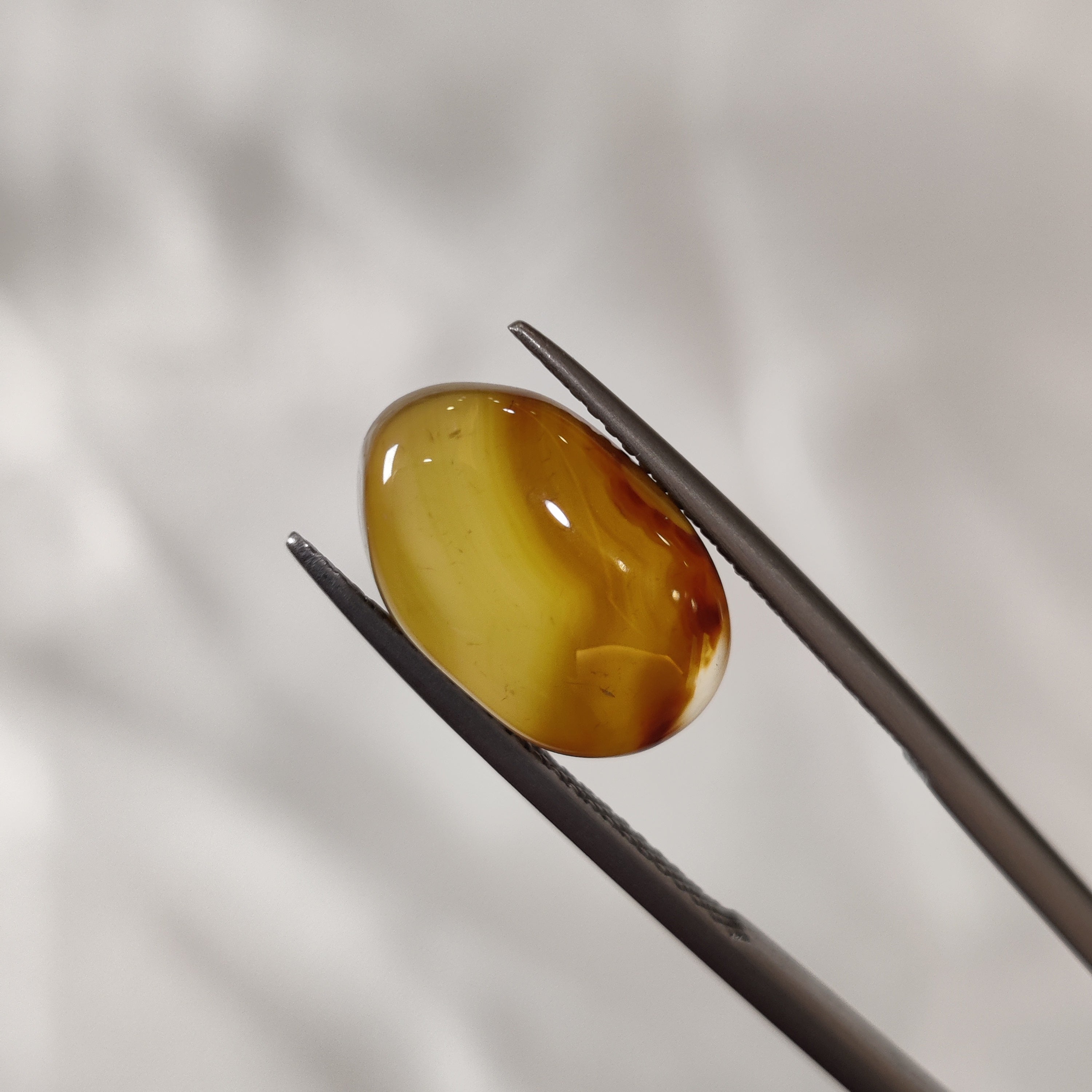 Carnelian | CNL 8 | 6.61 Carat