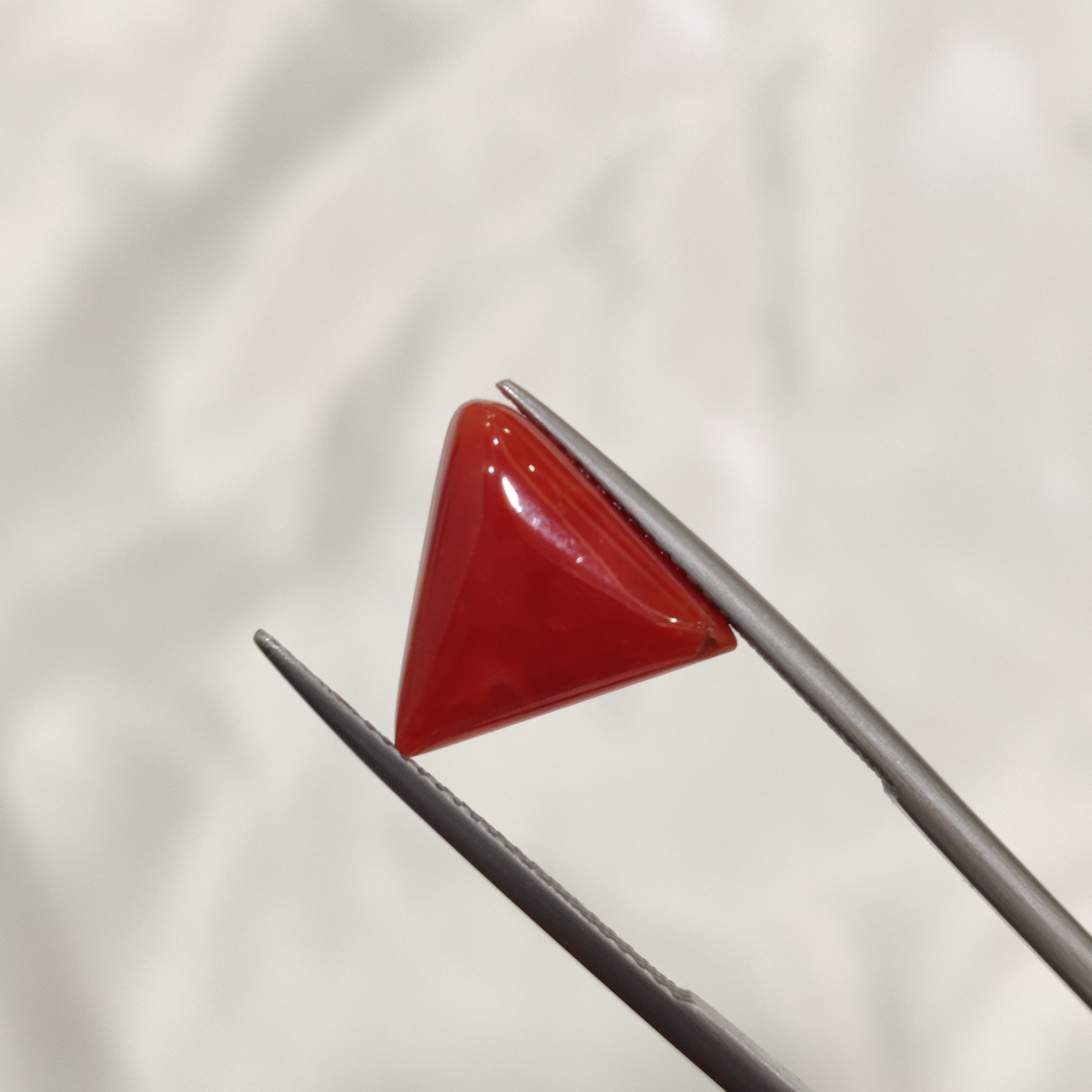 Coral | CORAL 147 | 5.41 Carat