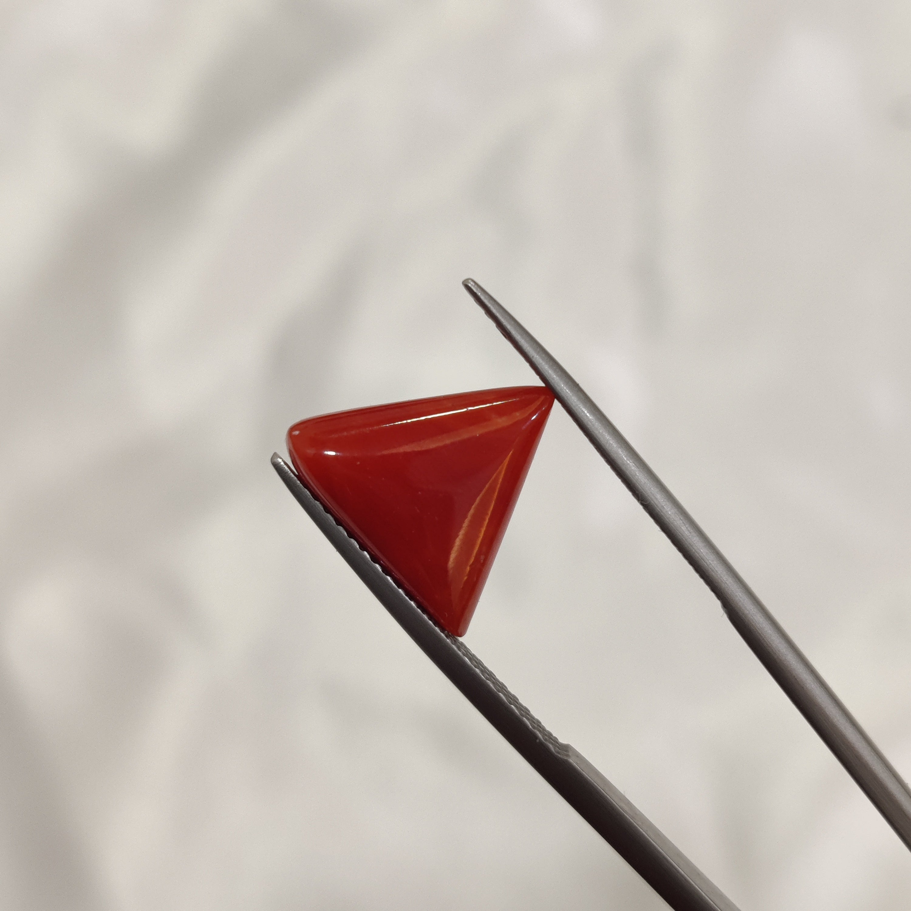 Coral | CORAL 147 | 5.41 Carat