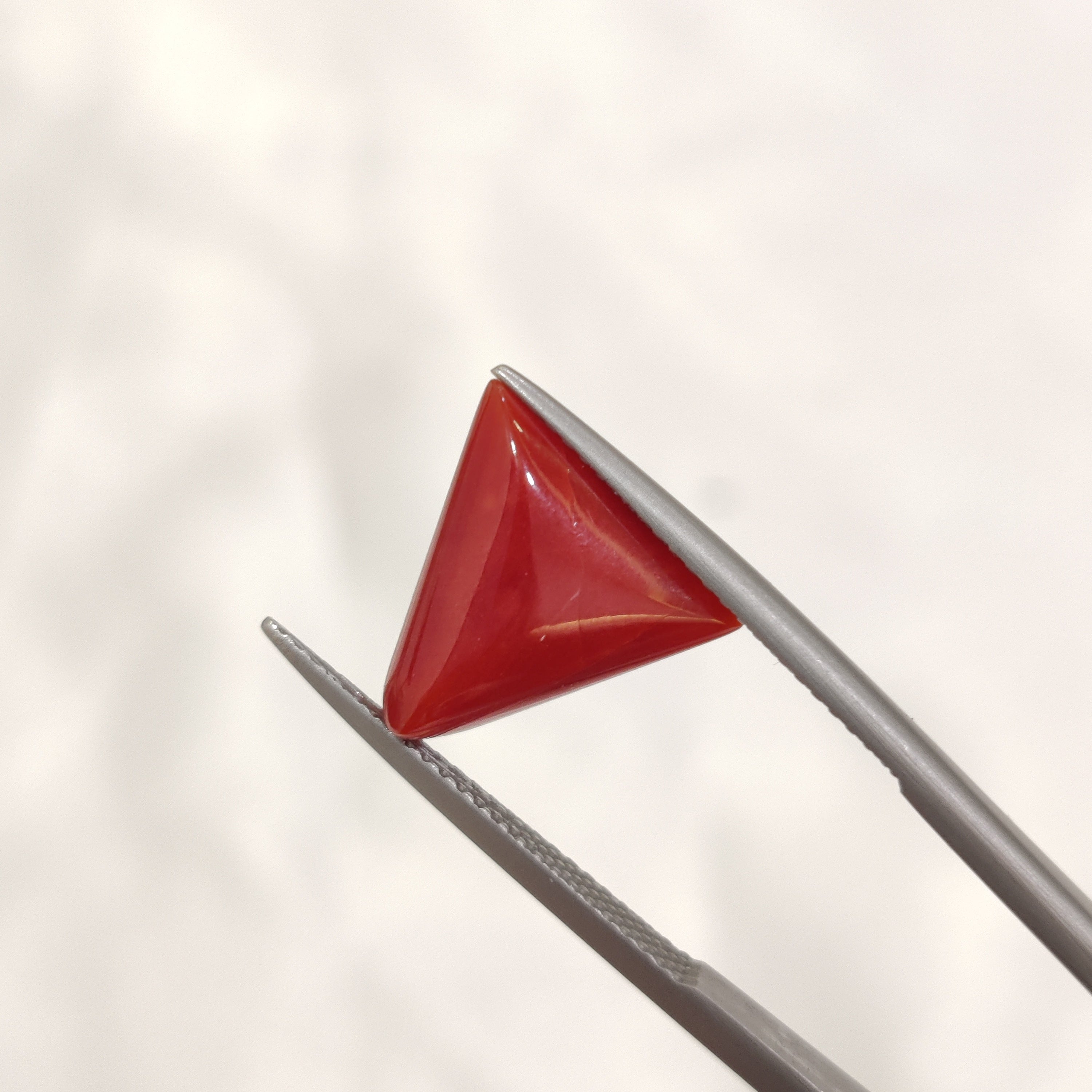 Coral | CORAL 143 | 5.09 Carat