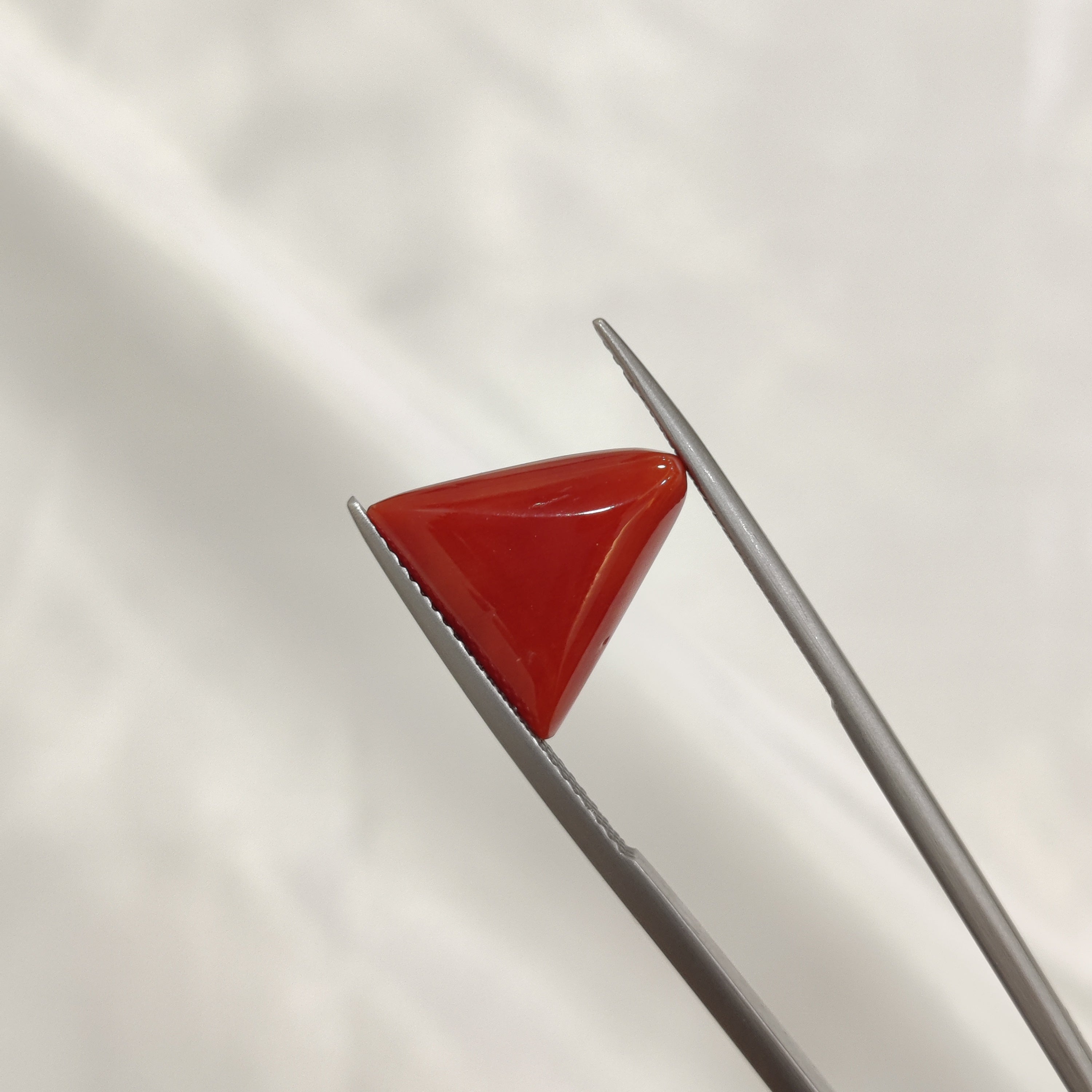 Coral | CORAL 138 | 6.62 Carat